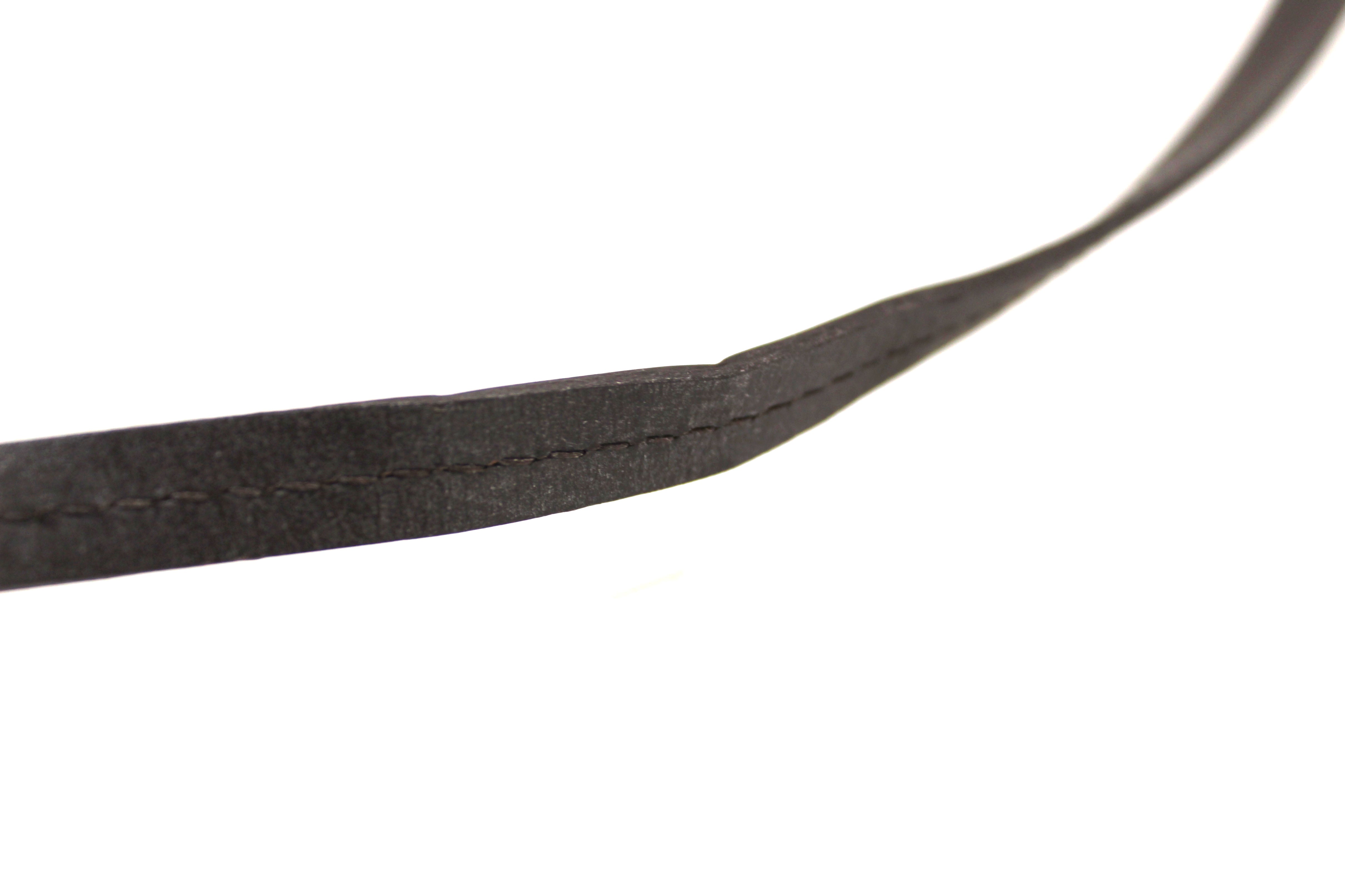 Authentic Louis Vuitton Damier Ebene Favorite PM Messenger Bag