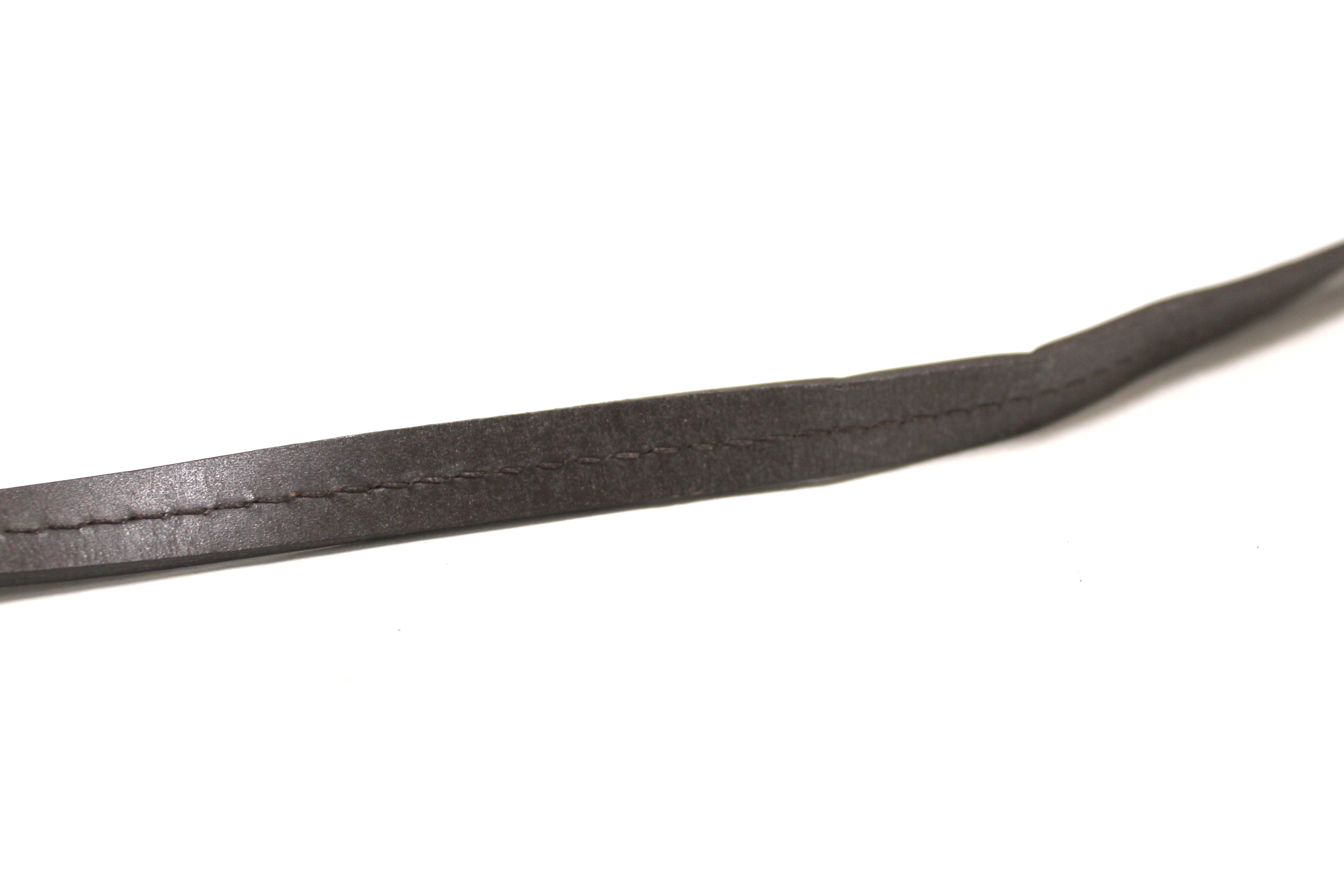 Authentic Louis Vuitton Damier Ebene Favorite PM Messenger Bag