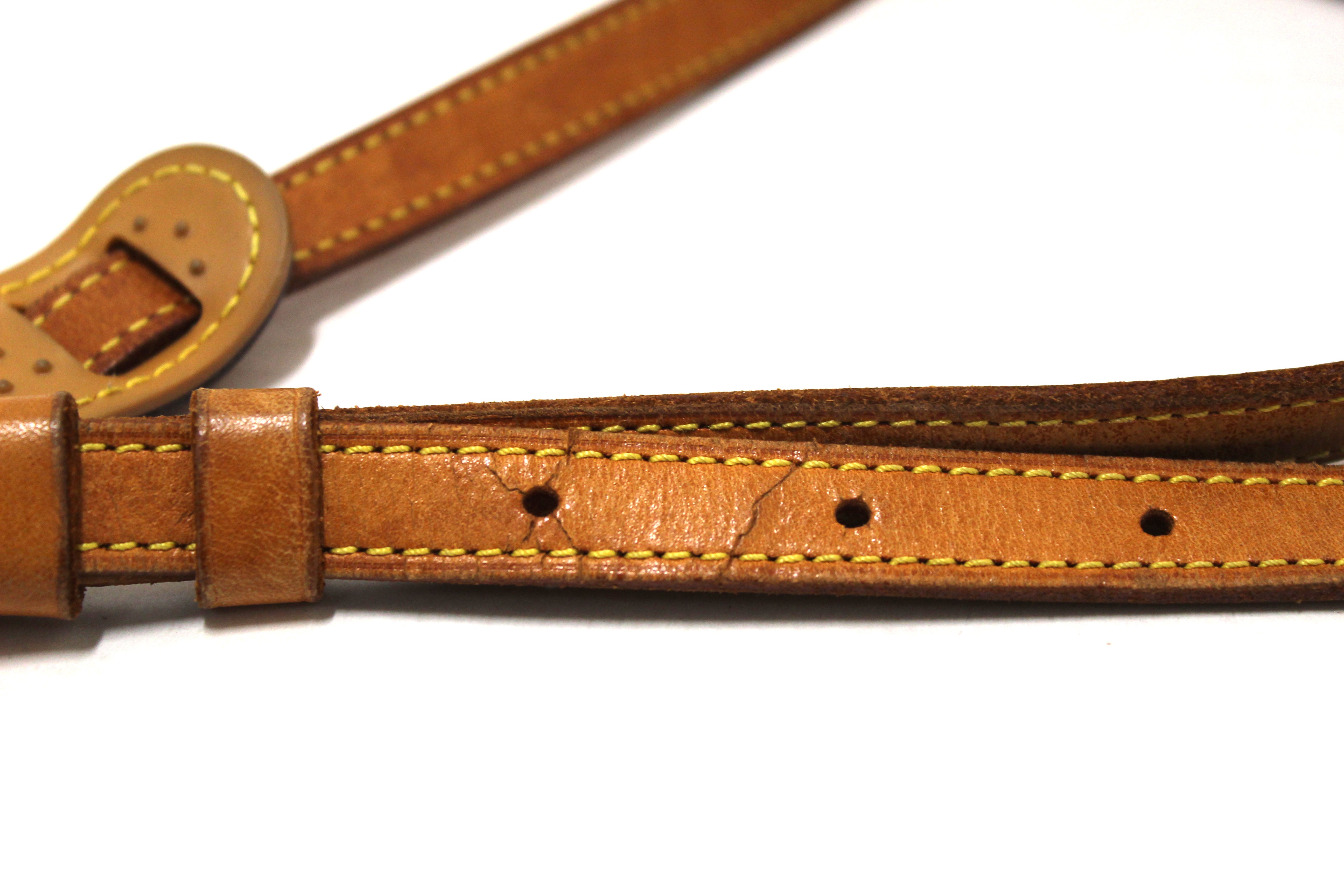 Authentic Louis Vuitton Classic Monogram Blois Crossbody Bag