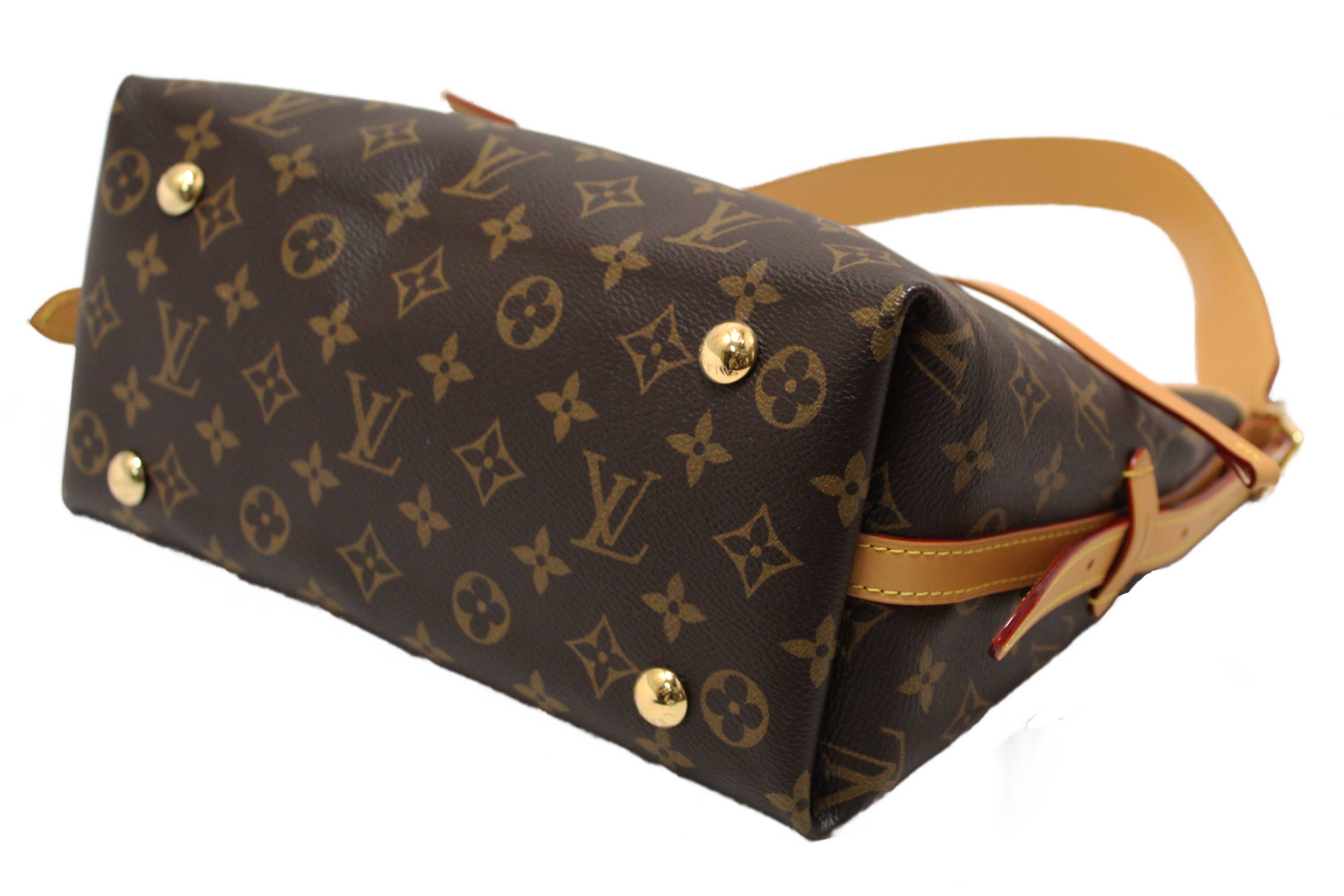 Authentic Louis Vuitton Classic Monogram CarryAll PM Hobo Shoulder Tote