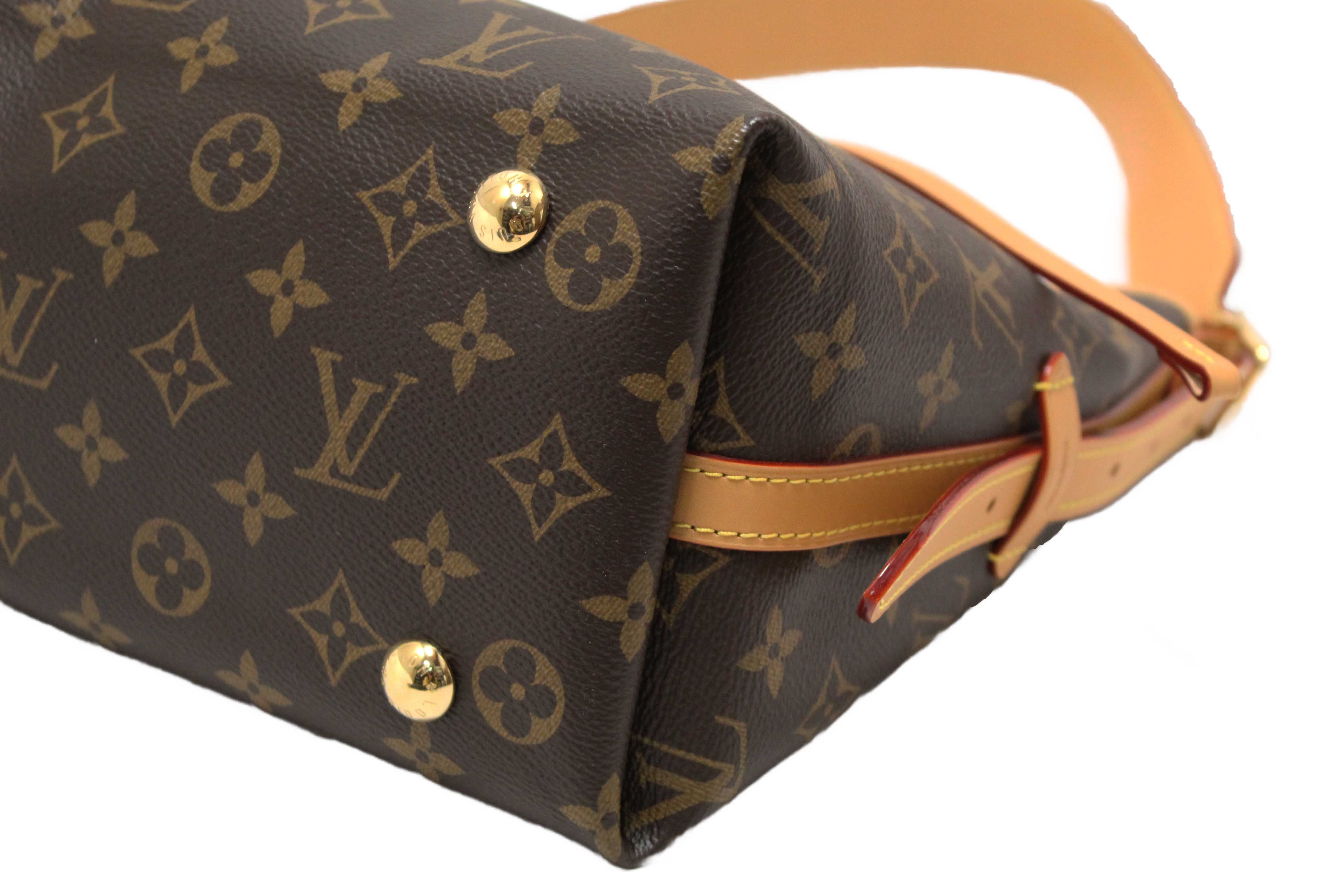 Authentic Louis Vuitton Classic Monogram CarryAll PM Hobo Shoulder Tote