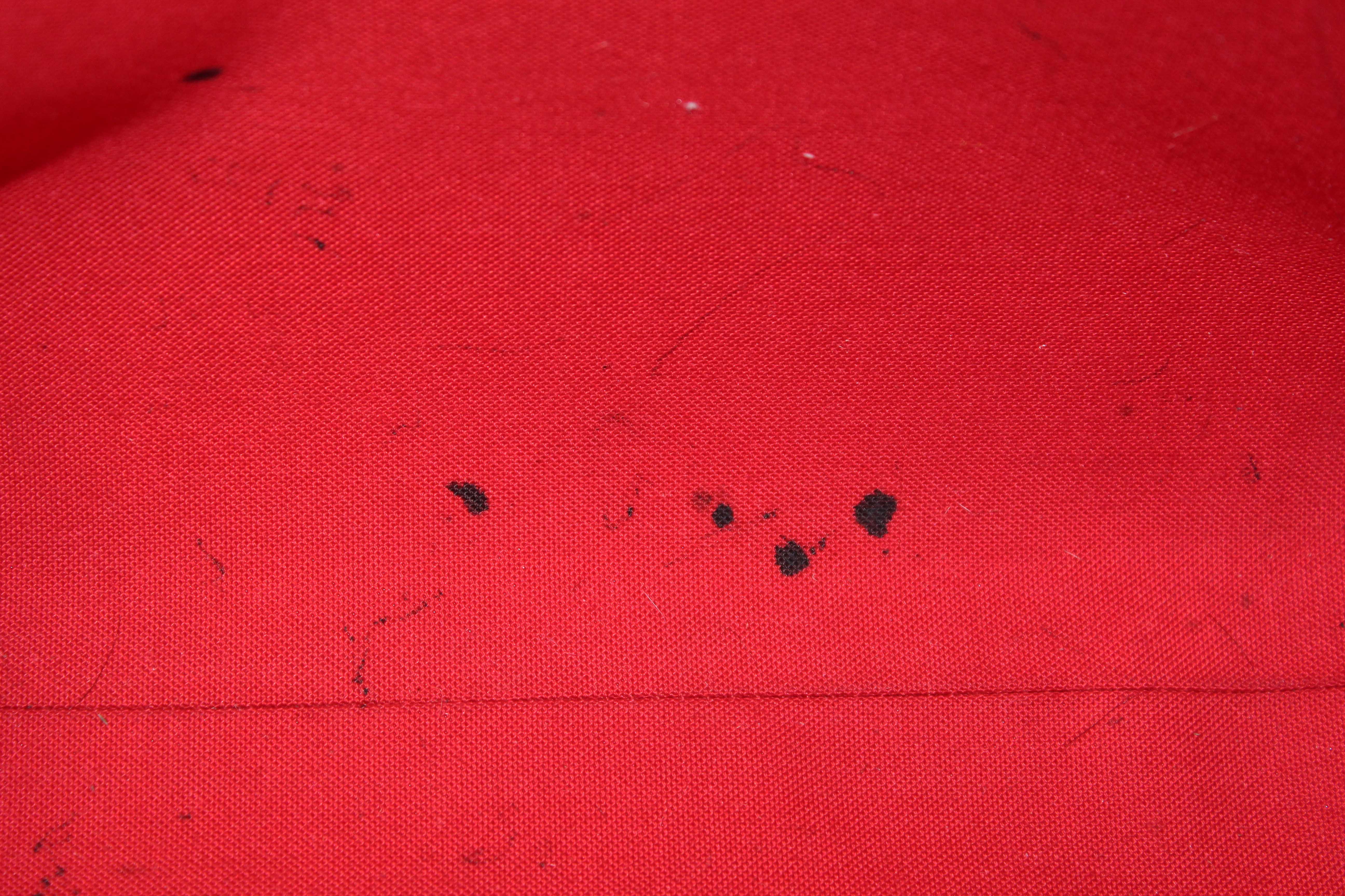 Authentic Louis Vuitton Classic Monogram Sac Plat PM Shoulder Tote