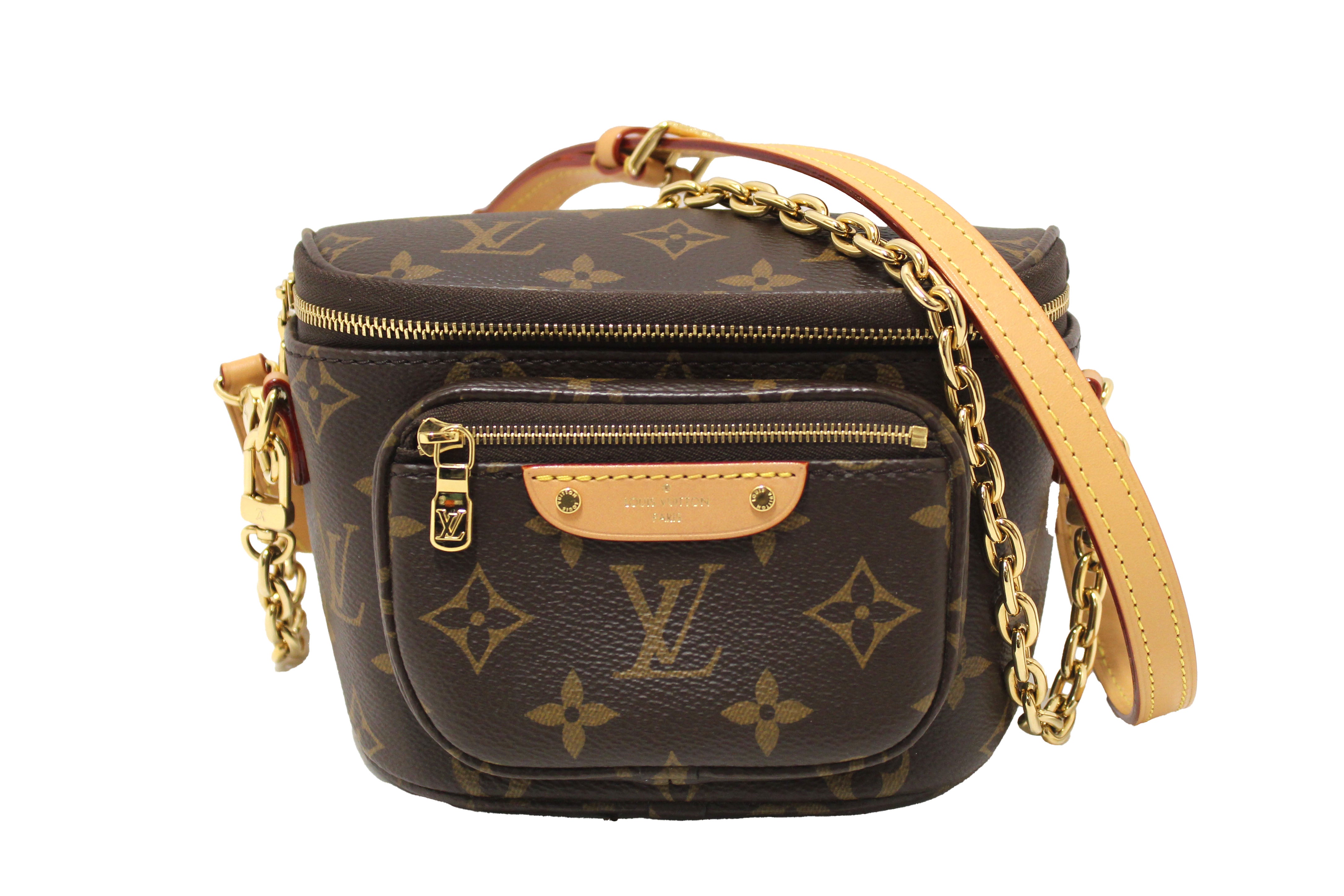 Authentic Louis Vuitton Classic Monogram Mini Bumbag
