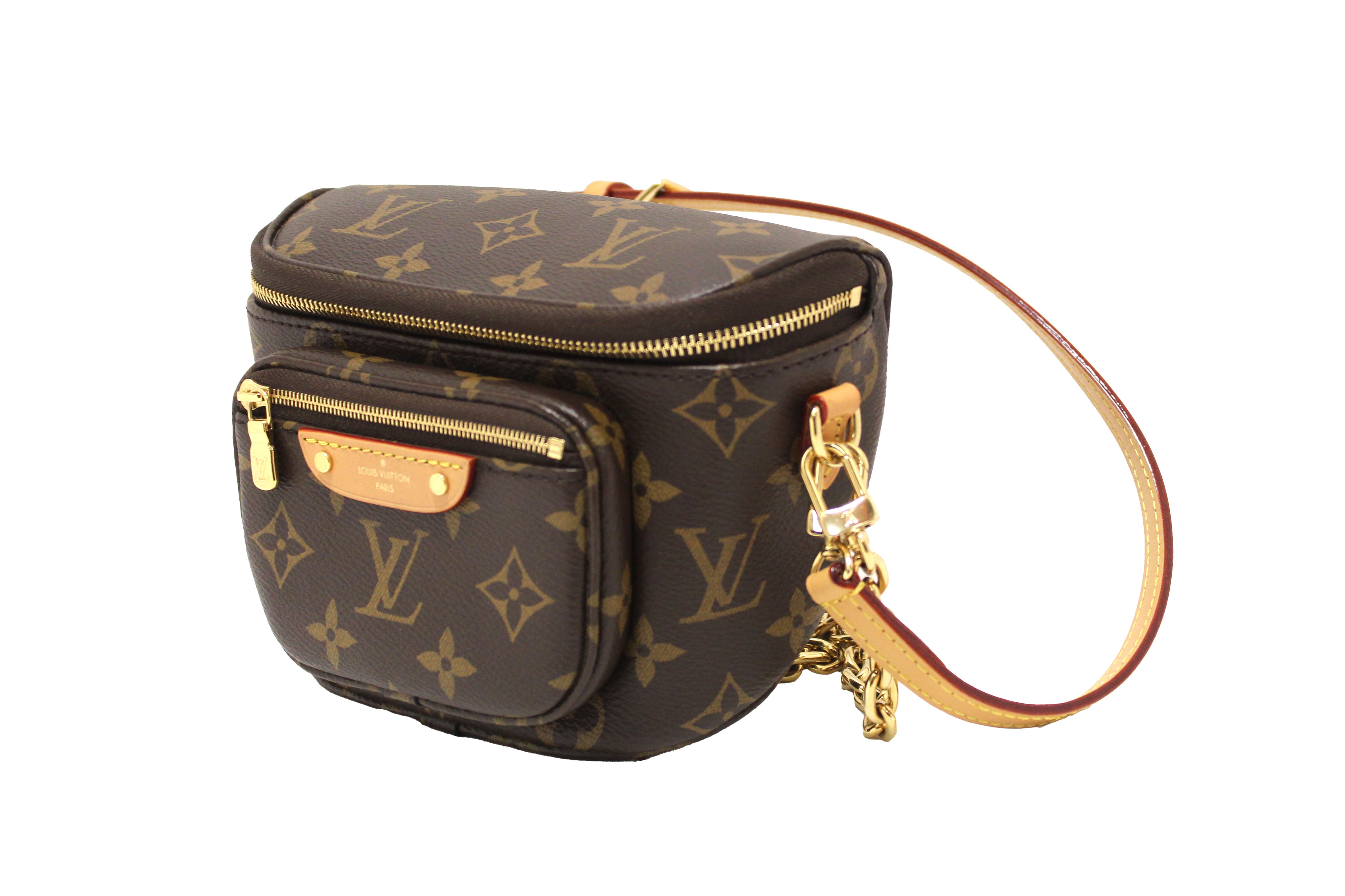 Authentic Louis Vuitton Classic Monogram Mini Bumbag