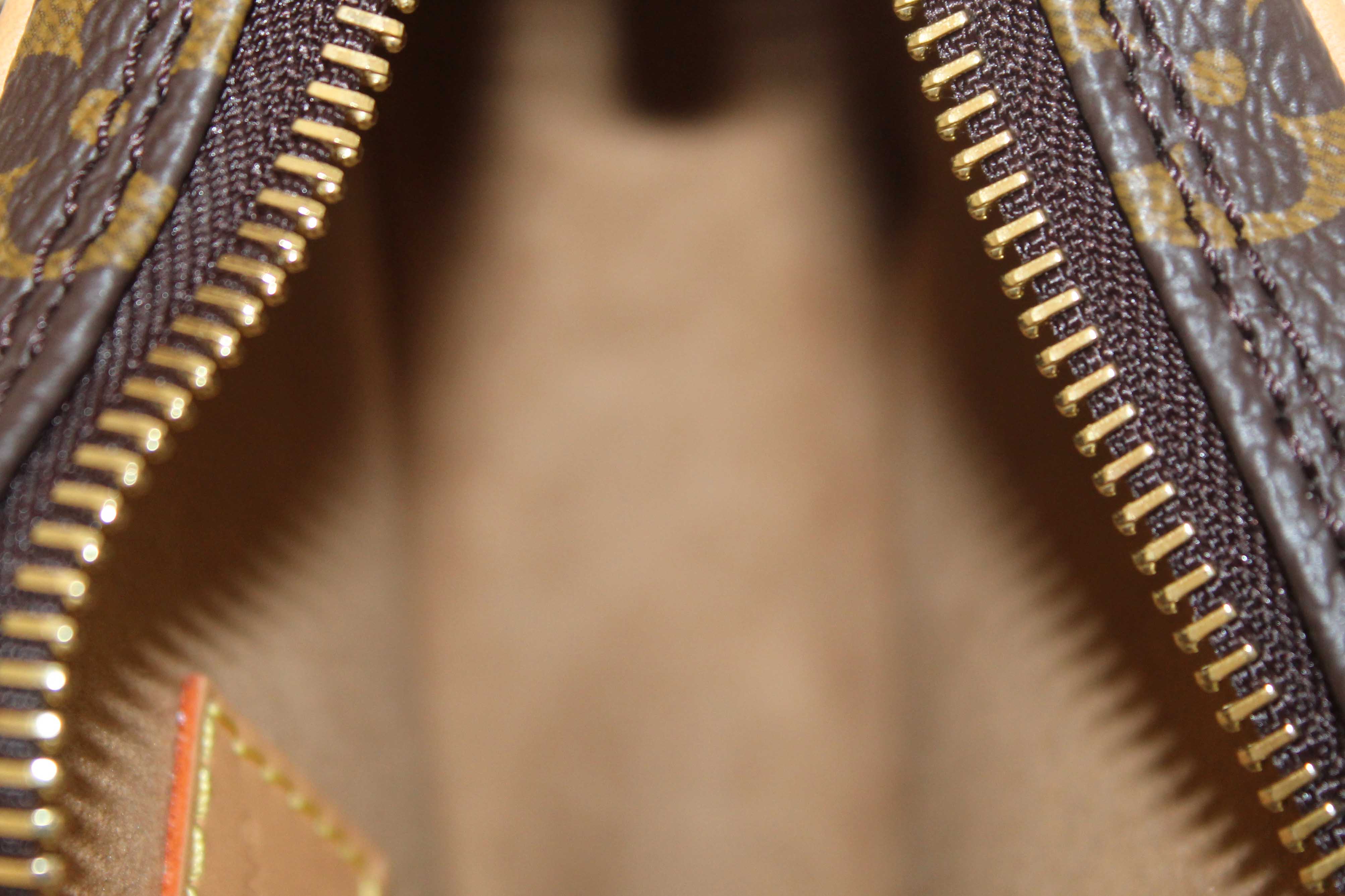 Authentic NEW Louis Vuitton Classic Monogram Loop Handbag