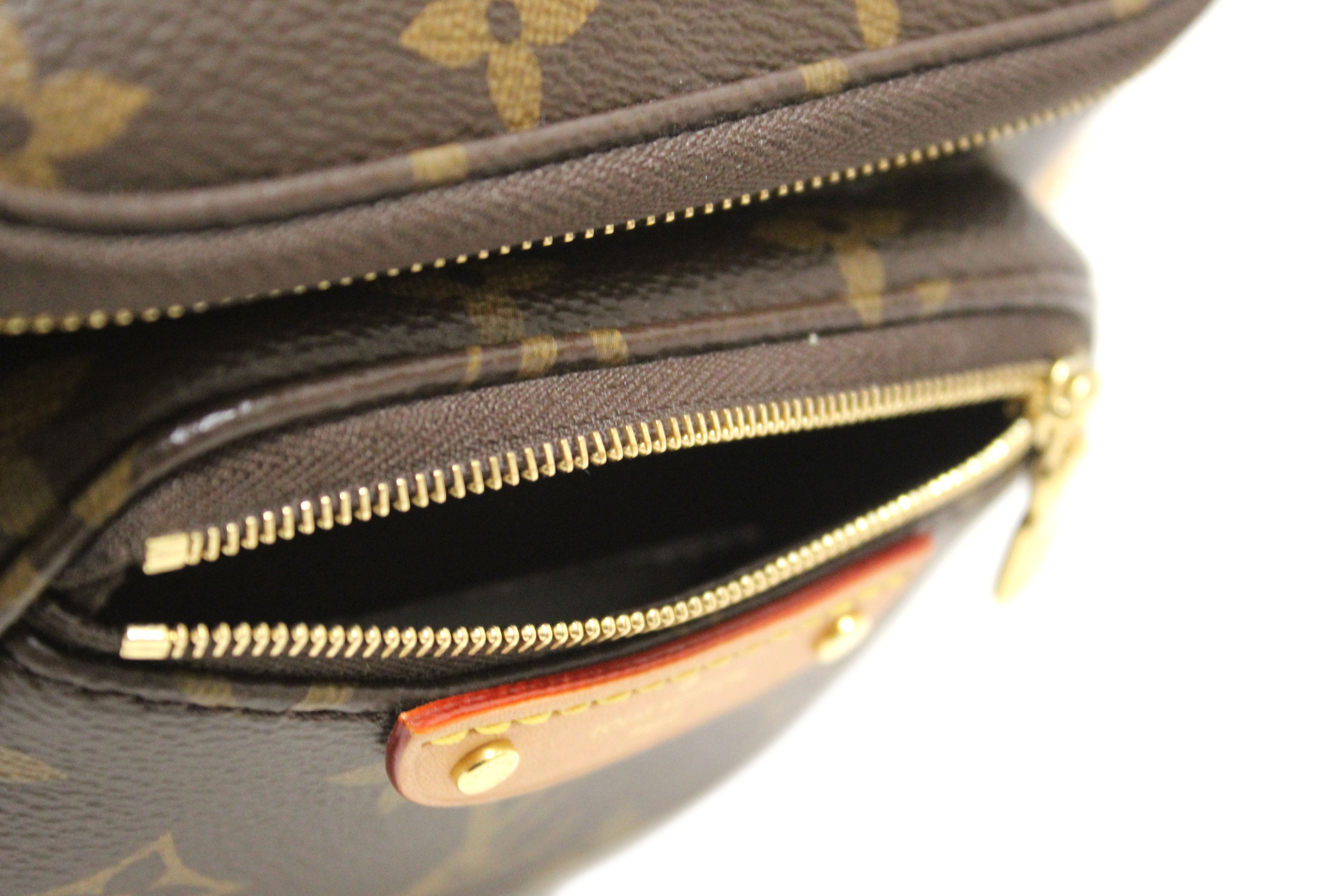 Authentic Louis Vuitton Classic Monogram Mini Bumbag