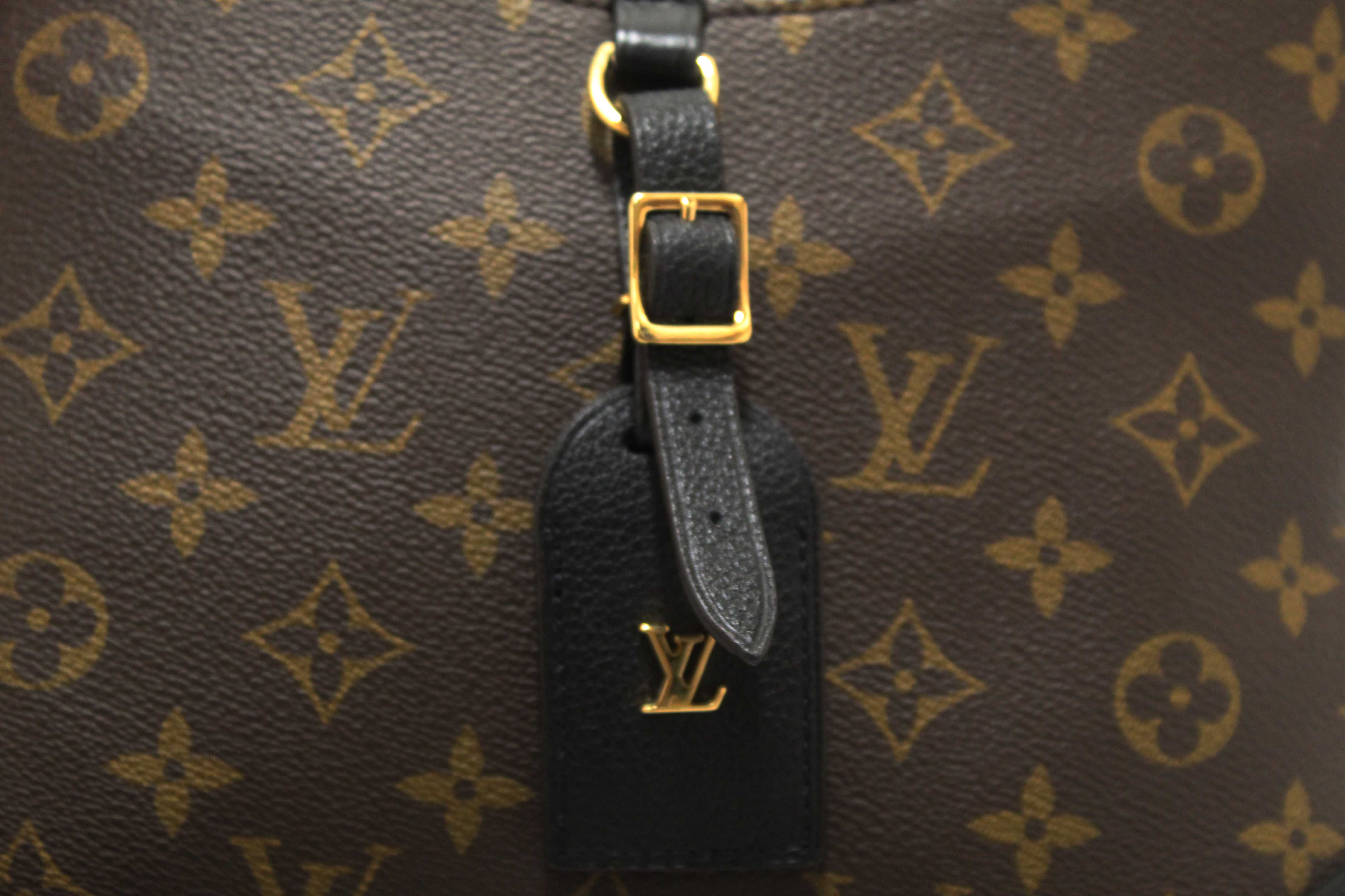 Authentic Louis Vuitton Classic Monogram Odeon PM Messenger Bag
