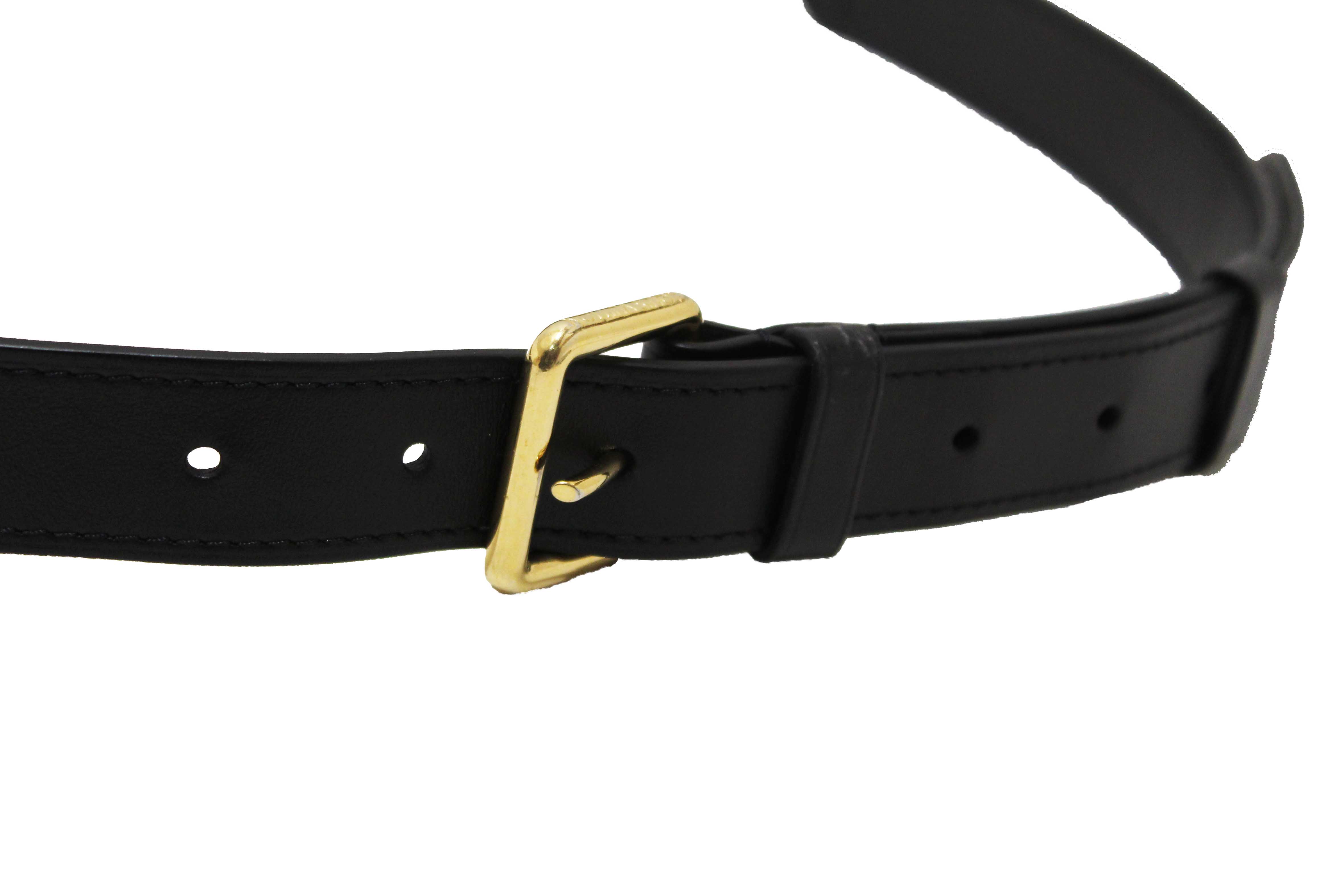 Authentic Louis Vuitton Classic Monogram Odeon PM Messenger Bag