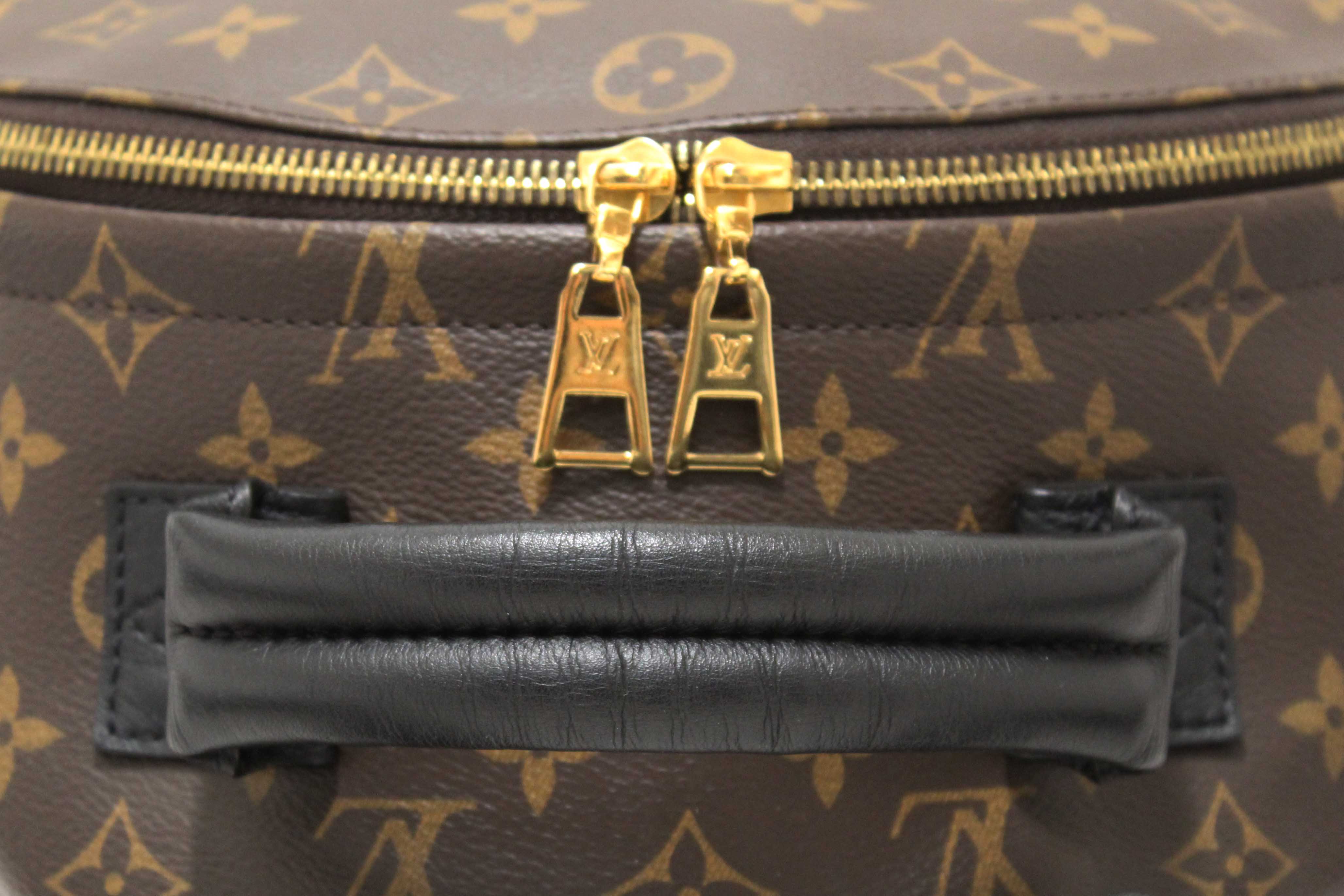 Authentic Louis Vuitton Classic Monogram Palm Springs MM Backpack