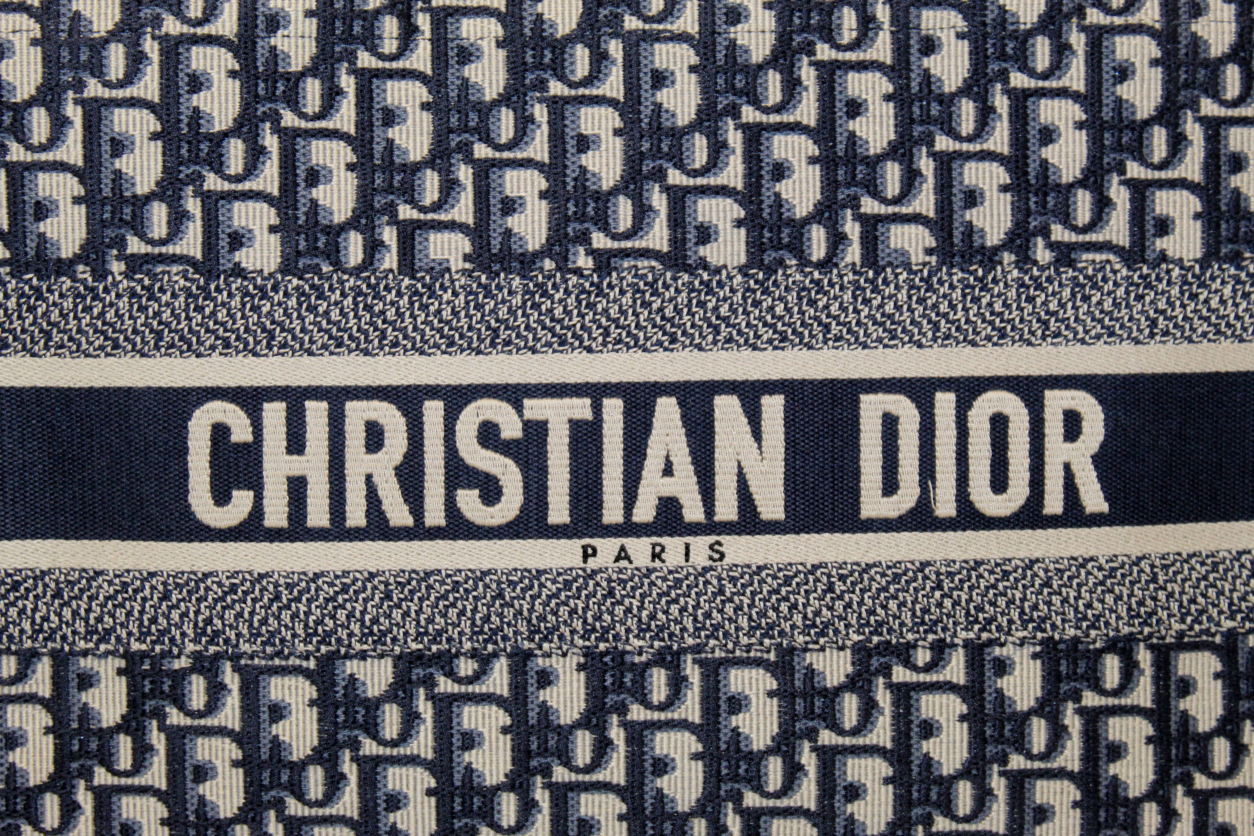 CHRISTIAN DIOR Book Medium Oblique Embroidery Tote Bag Blue