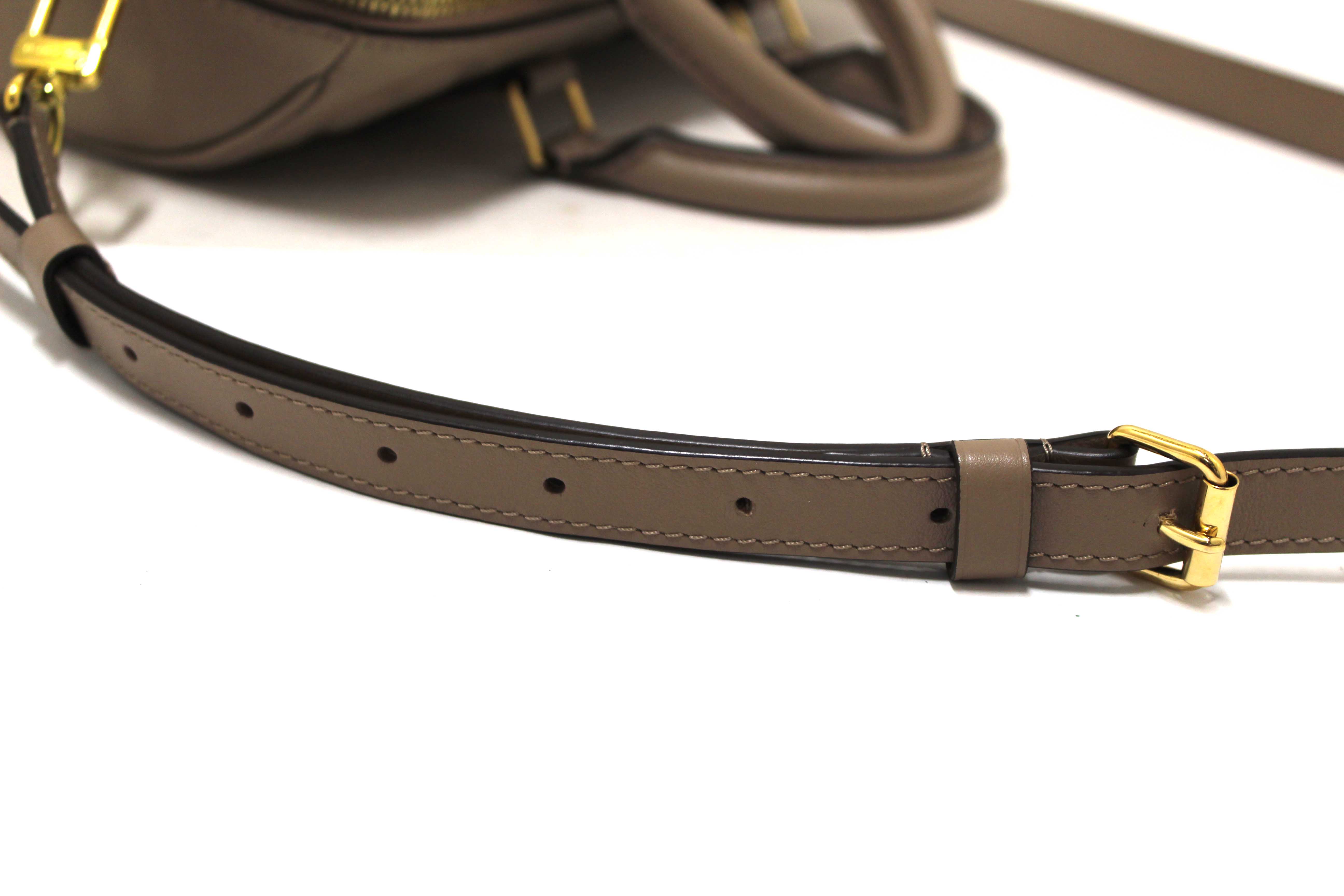 Authentic Louis Vuitton Turtledove Empreinte Leather Speedy 25 Bandouliere Crossbody Bag