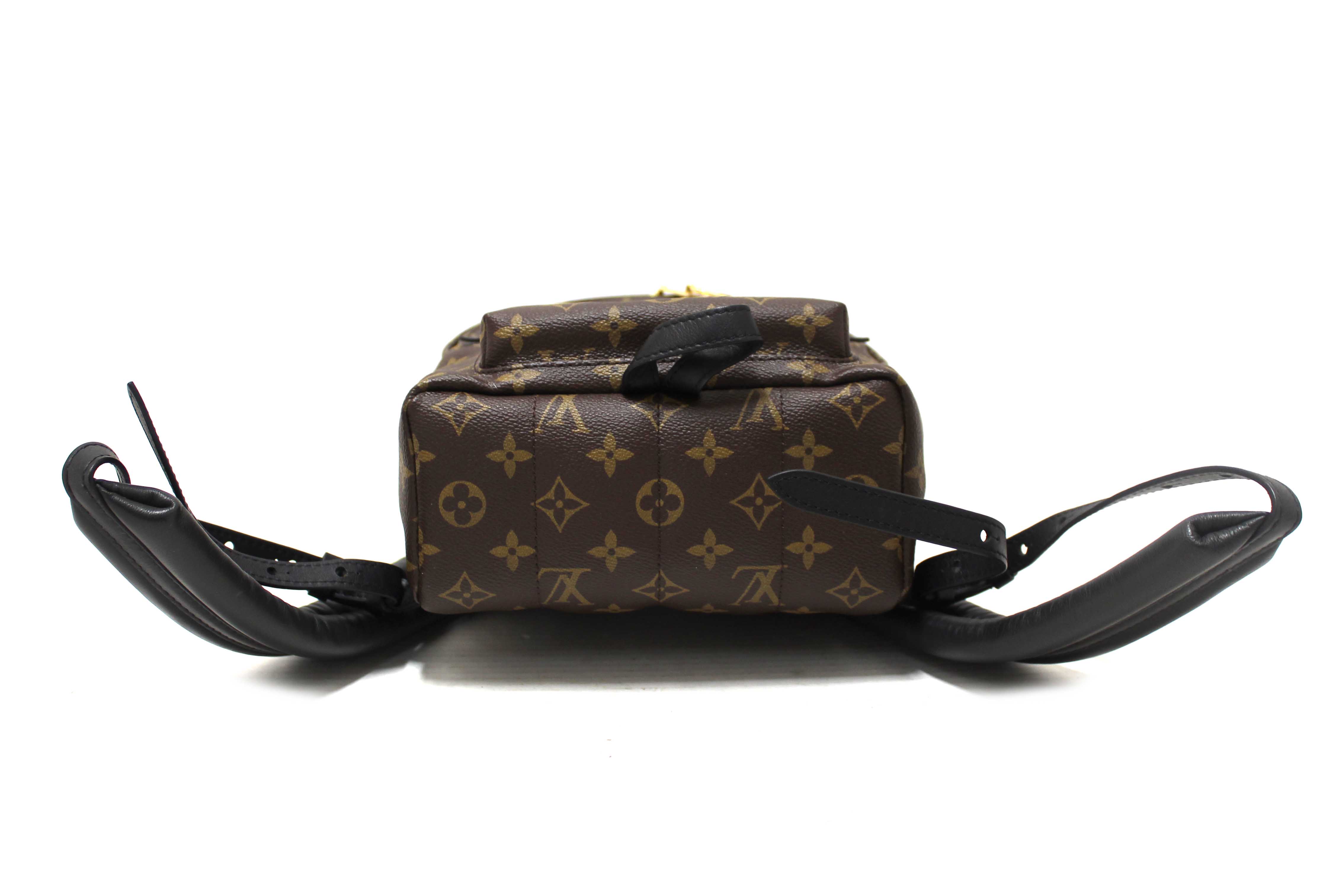 Authentic Louis Vuitton Classic Monogram Palm Springs PM Backpack