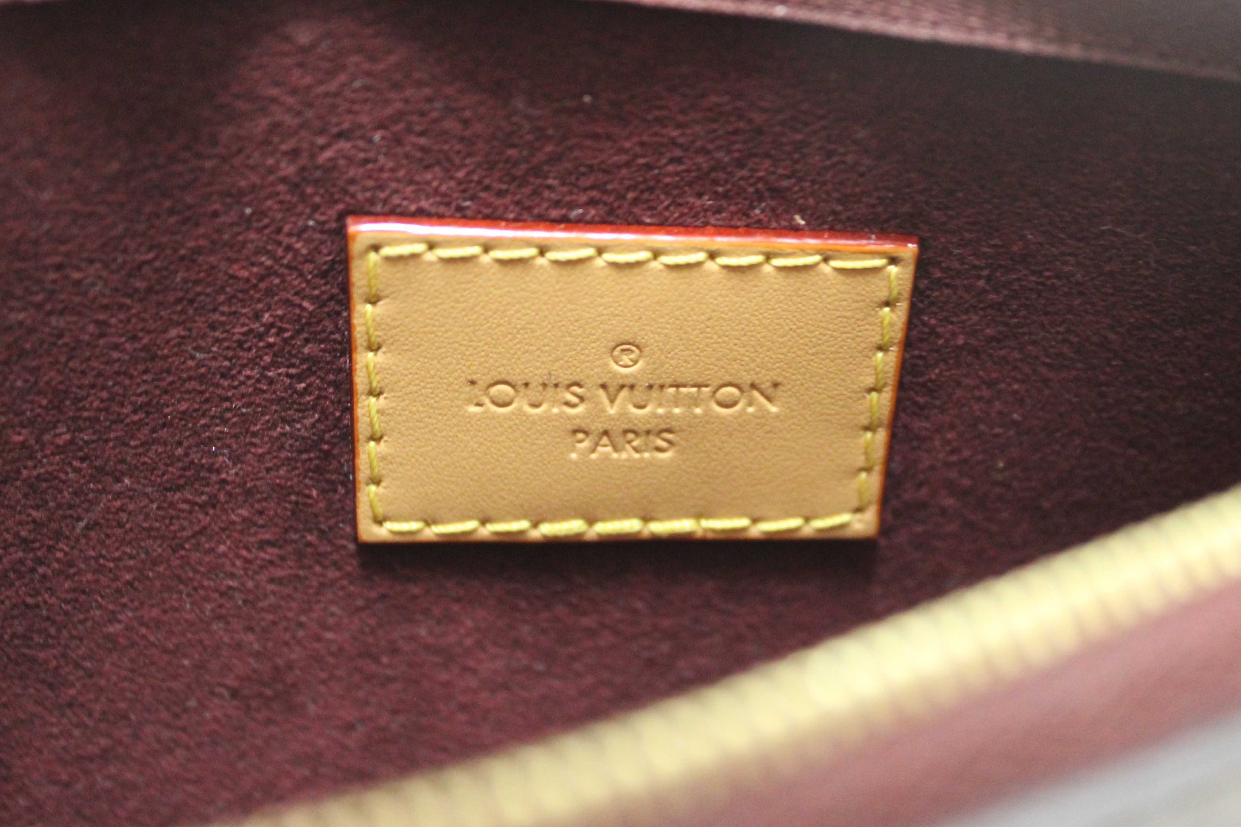 Authentic Louis Vuitton Classic Monogram Carryall PM Pochette Pouch
