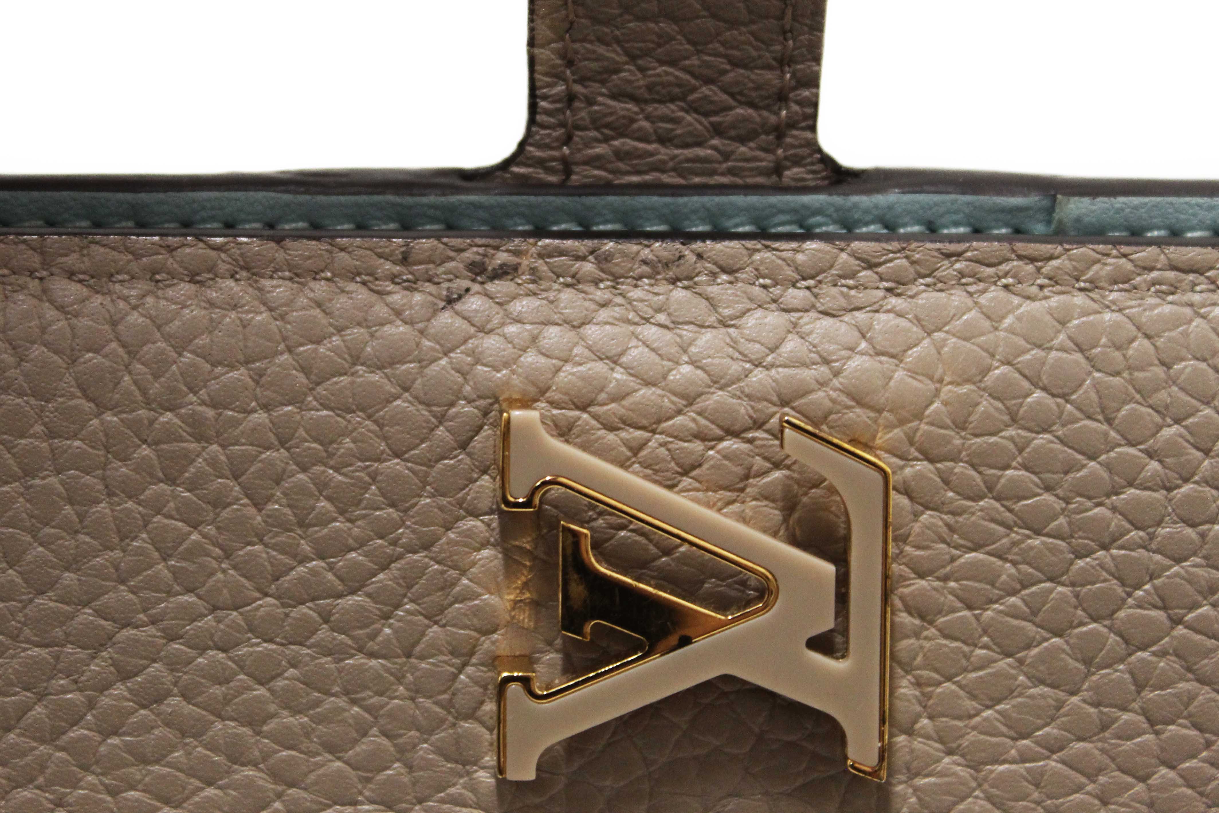 Authentic Louis Vuitton Galet Grey Grained Taurillon Leather LV Vertical Wallet