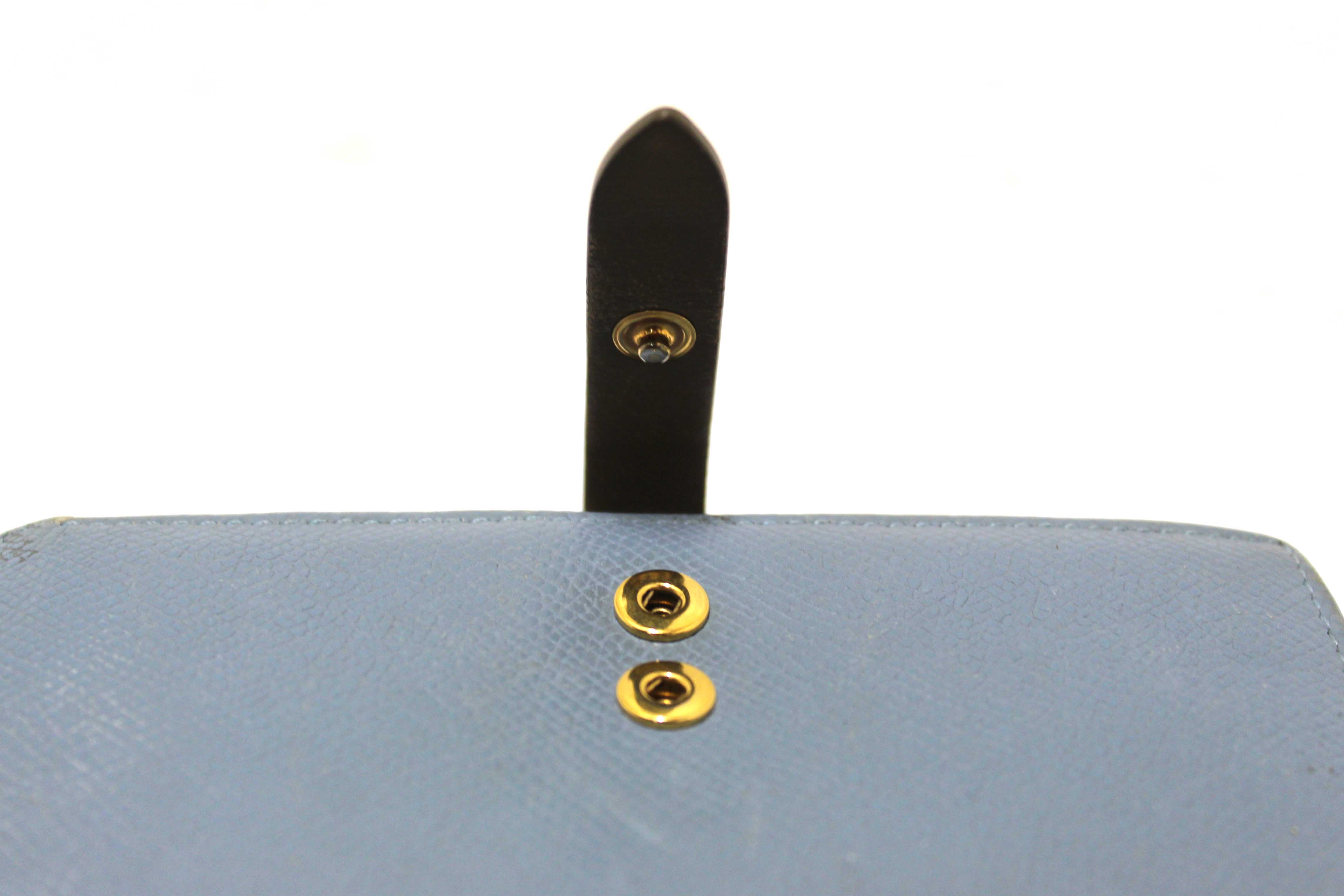 Authentic Celine Celine Blue/Grey Leather Multifunction Strap Wallet