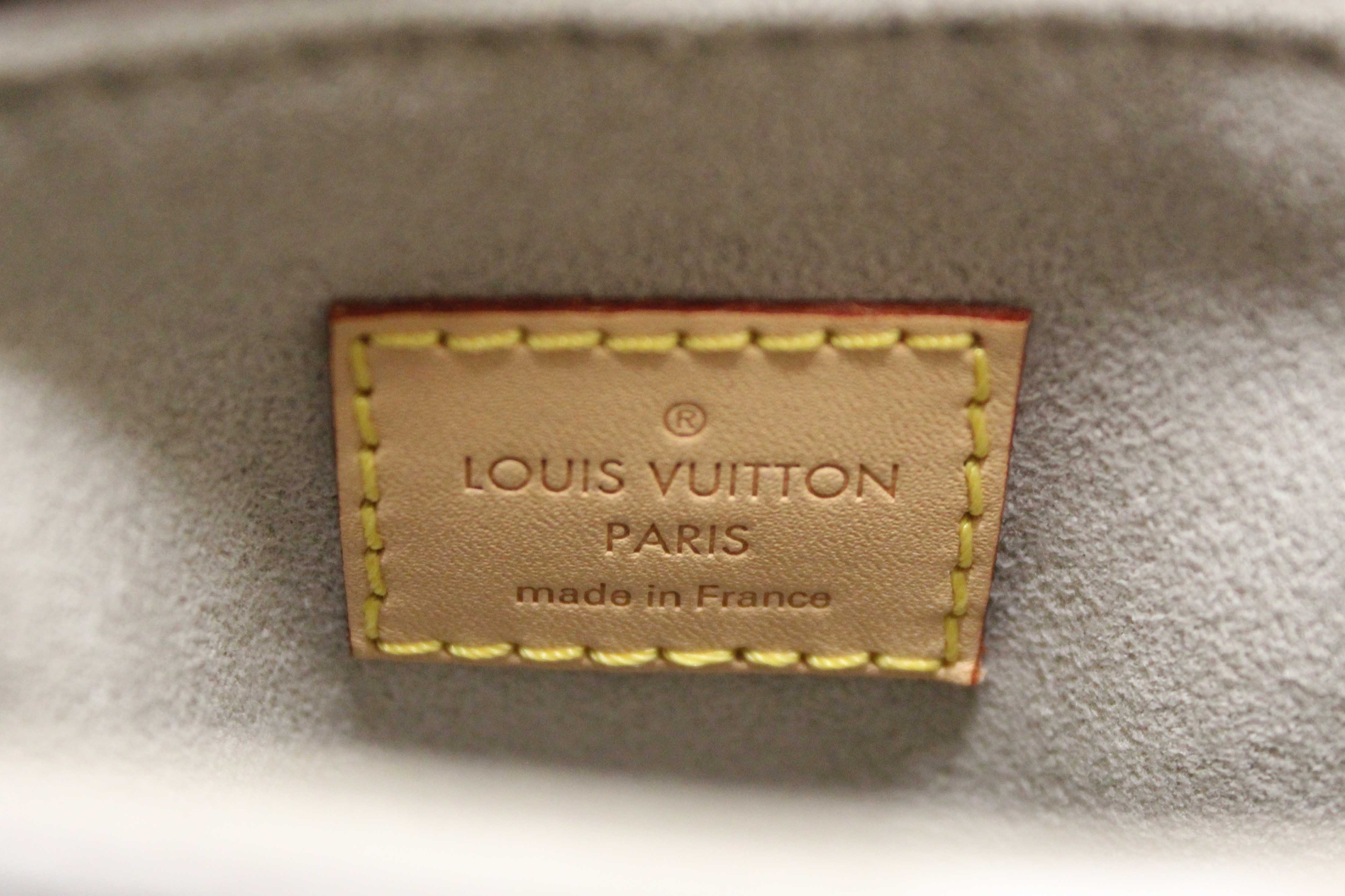 Authentic Louis Vuitton Brume Monogram Giant By the Pool Tiny Backpack