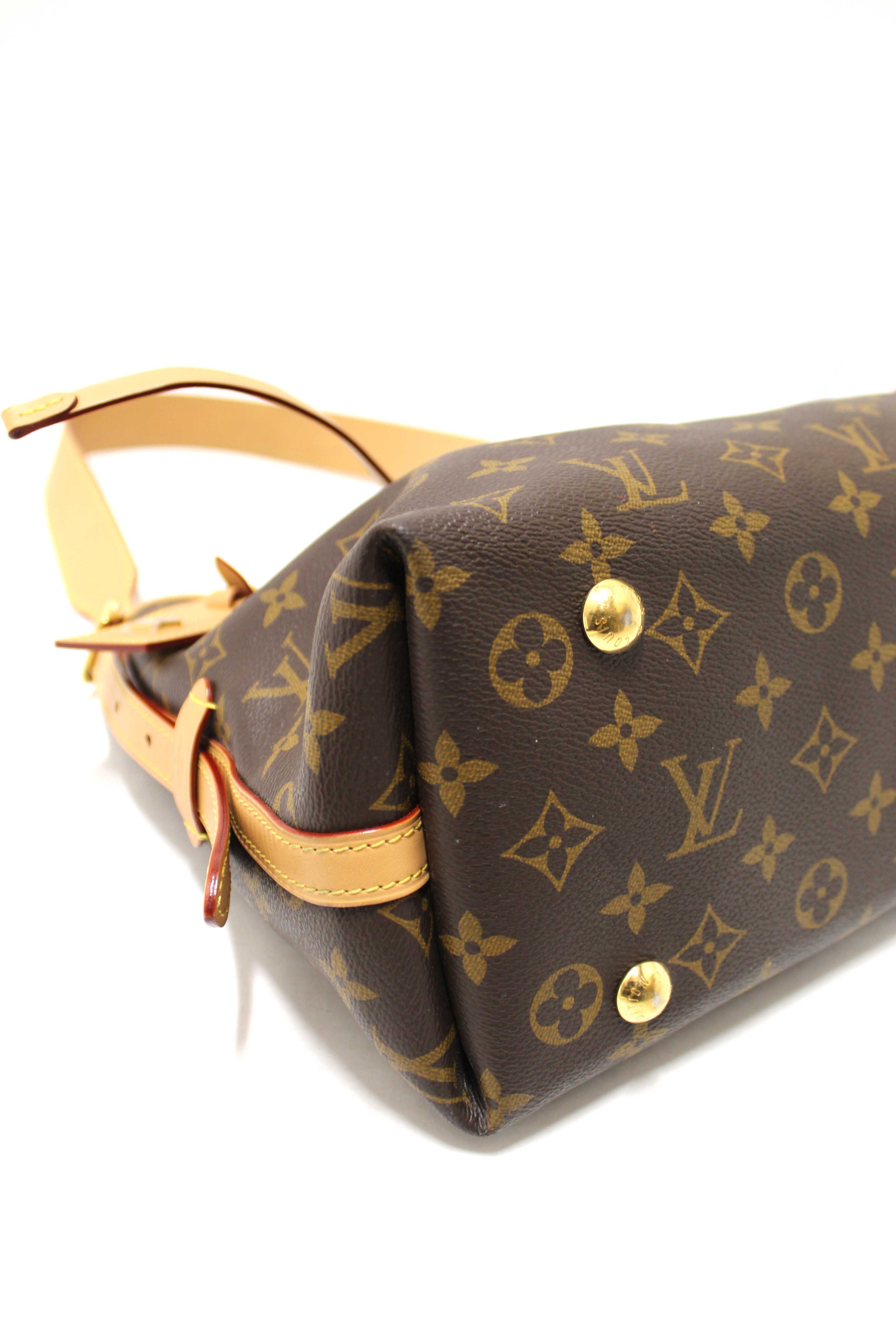 Authentic Louis Vuitton Classic Monogram CarryAll PM Hobo Shoulder Tote