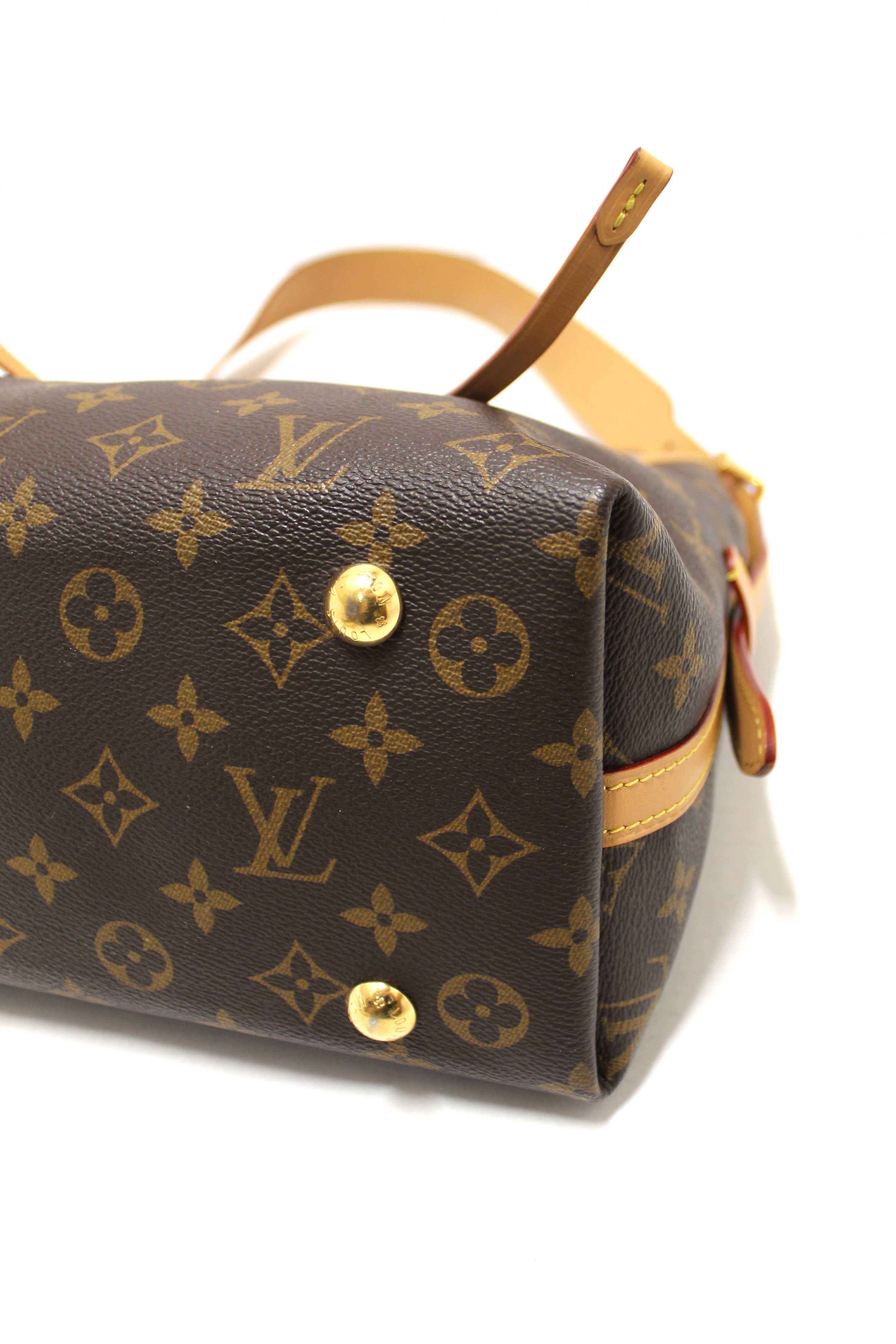 Authentic Louis Vuitton Classic Monogram CarryAll PM Hobo Shoulder Tote