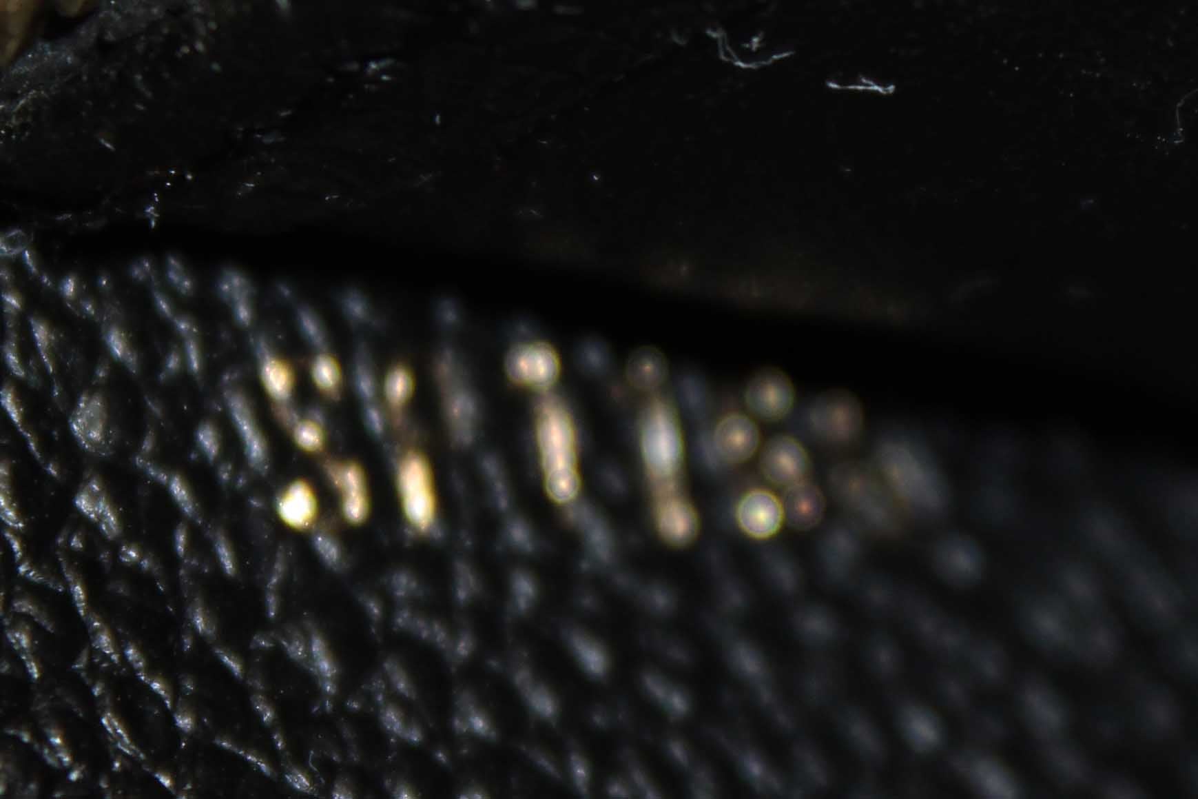 Authentic Louis Vuitton Black Monogram Empreinte Leather Zippy Wallet