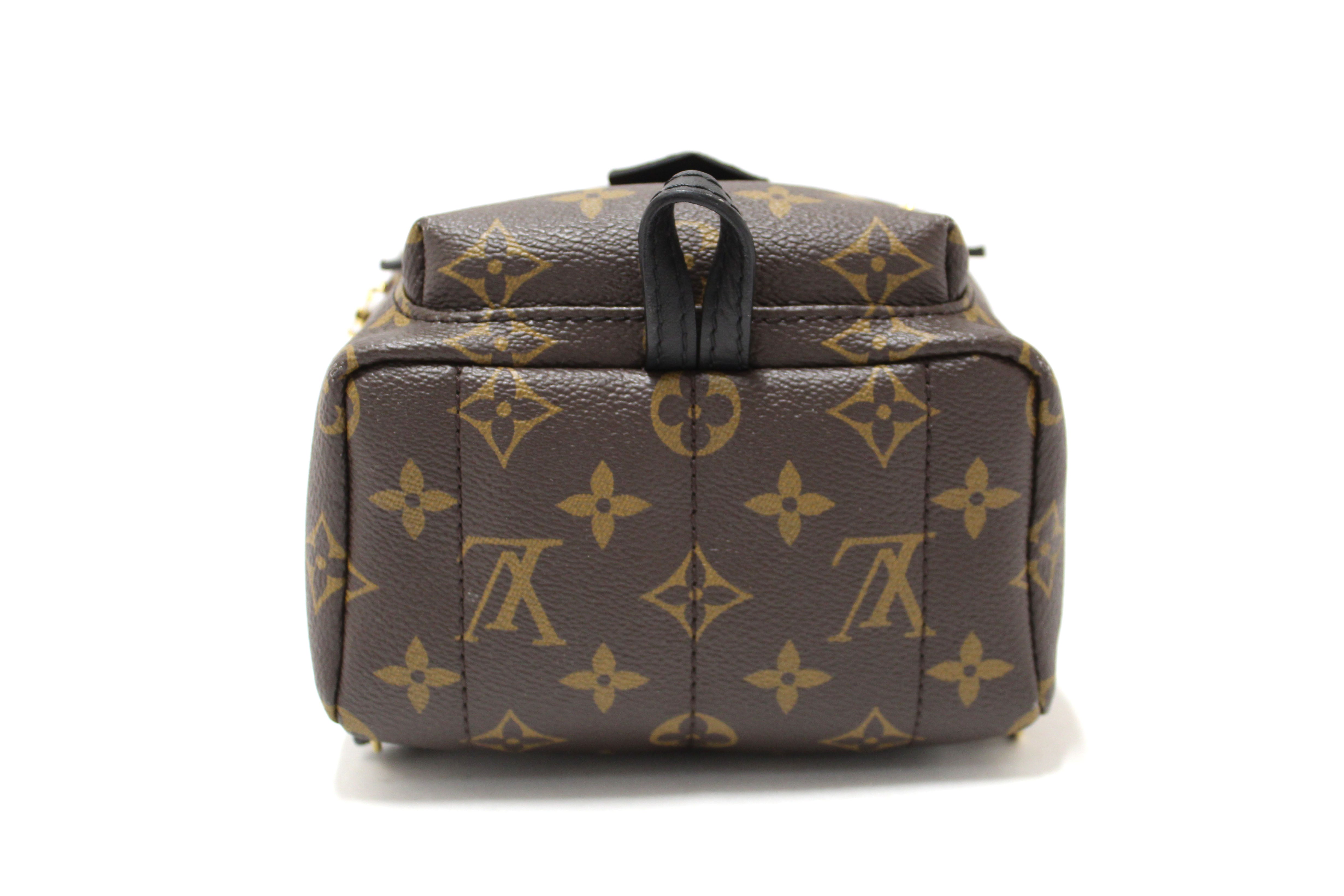 Louis Vuitton Monogram Palm Springs Mini Backpack