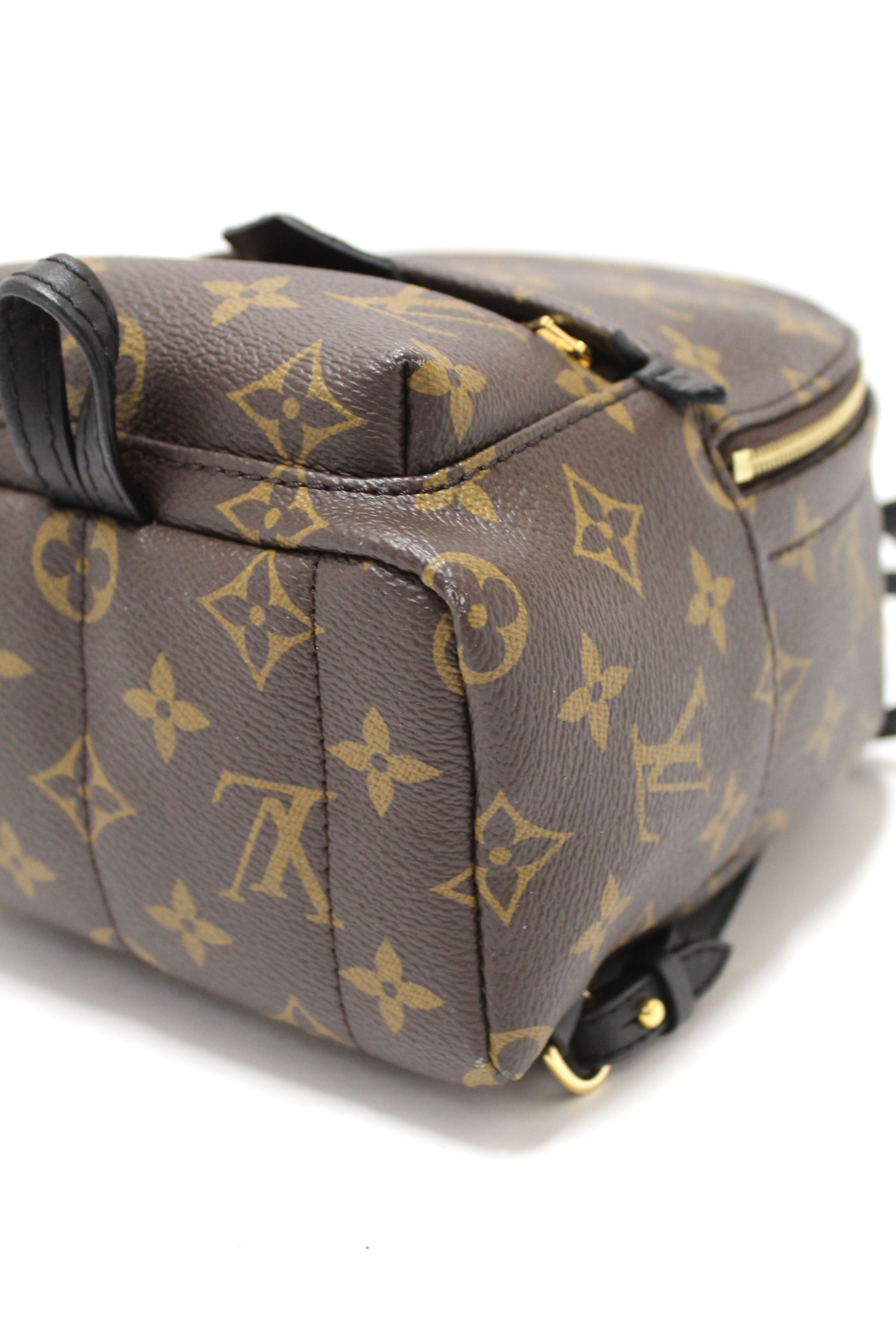 Authentic Louis Vuitton Classic Monogram Palm Springs Mini Backpack