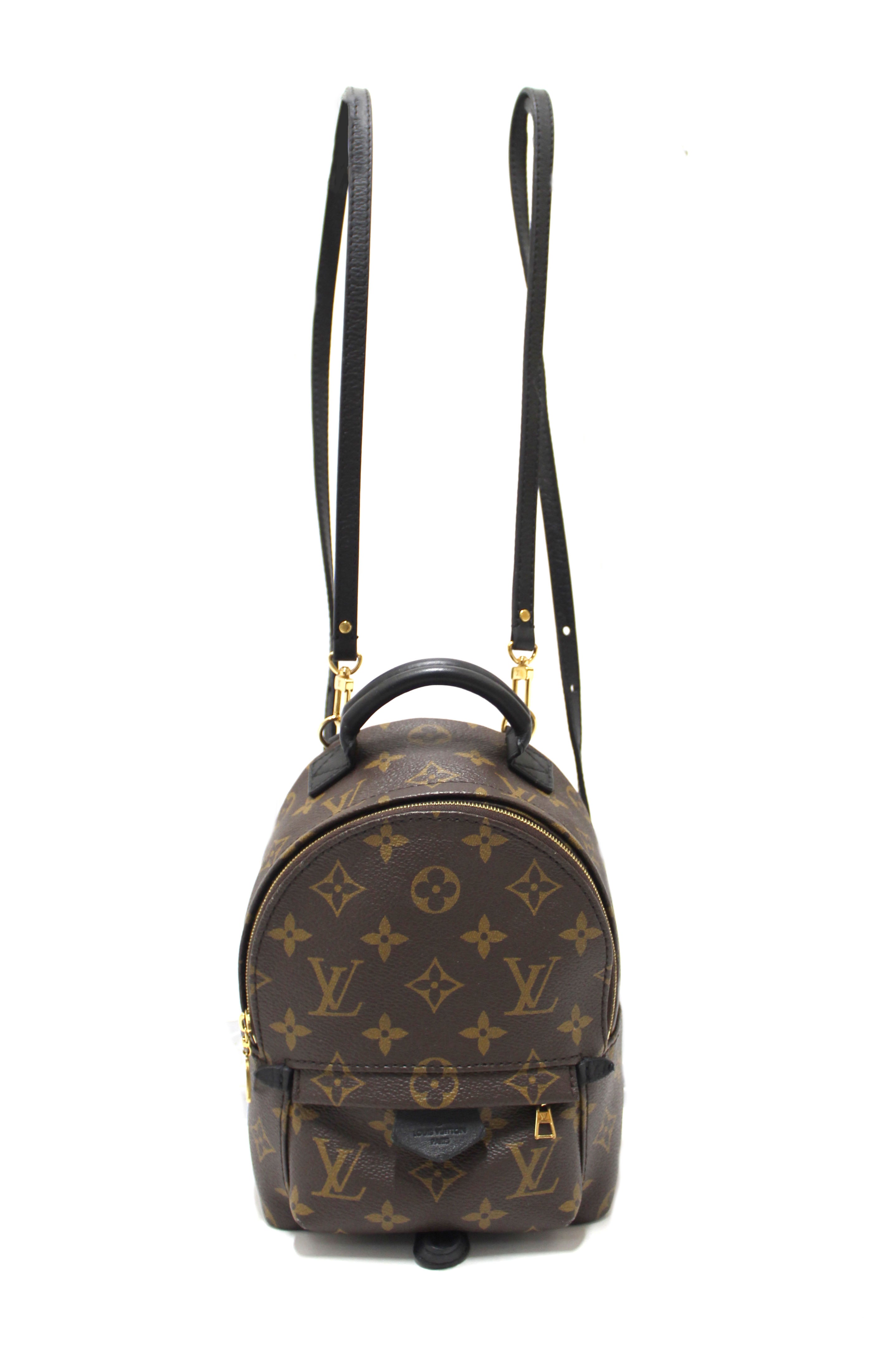 Louis Vuitton Monogram Palm Springs Mini Backpack