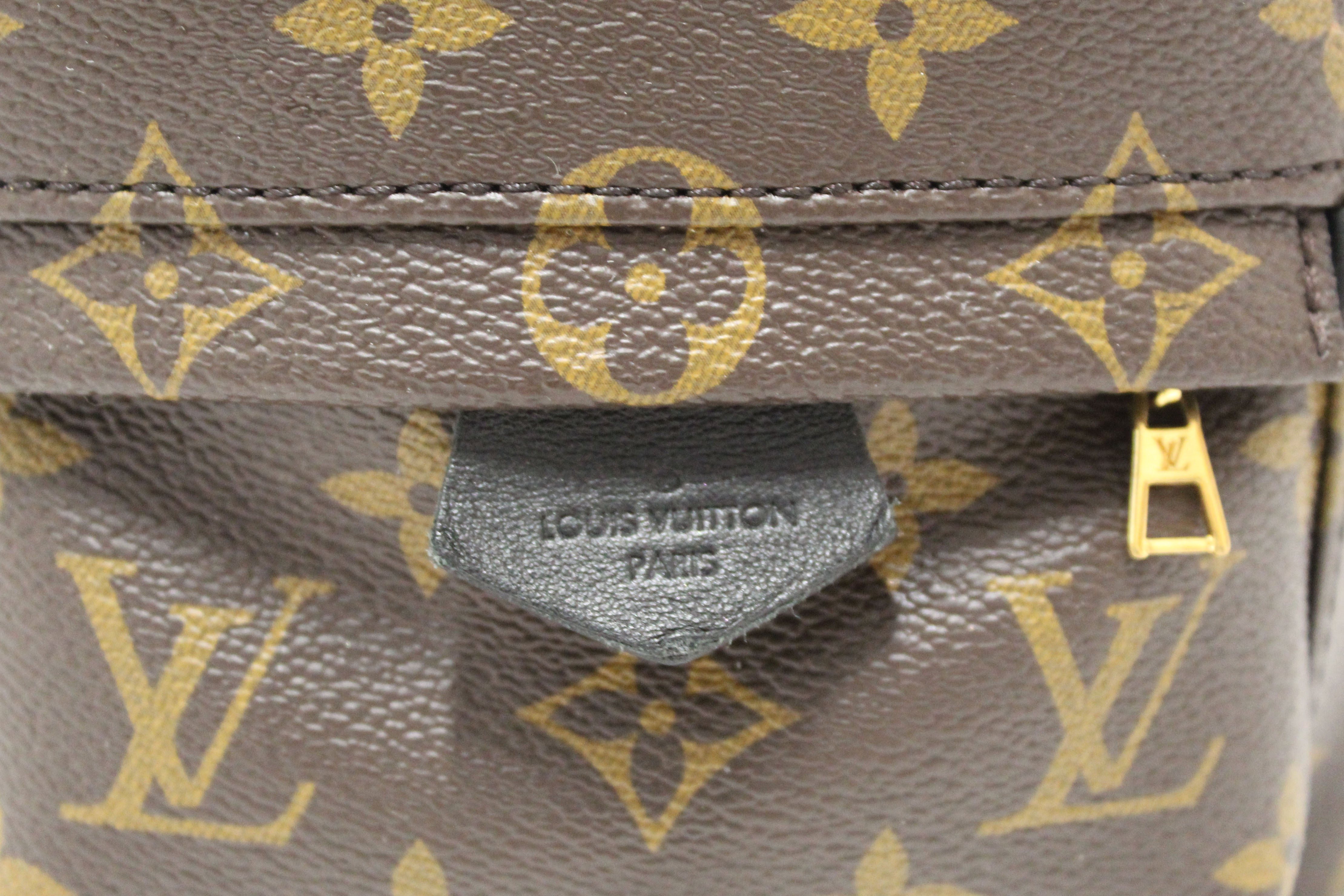 Authentic Louis Vuitton Classic Monogram Palm Springs Mini Backpack