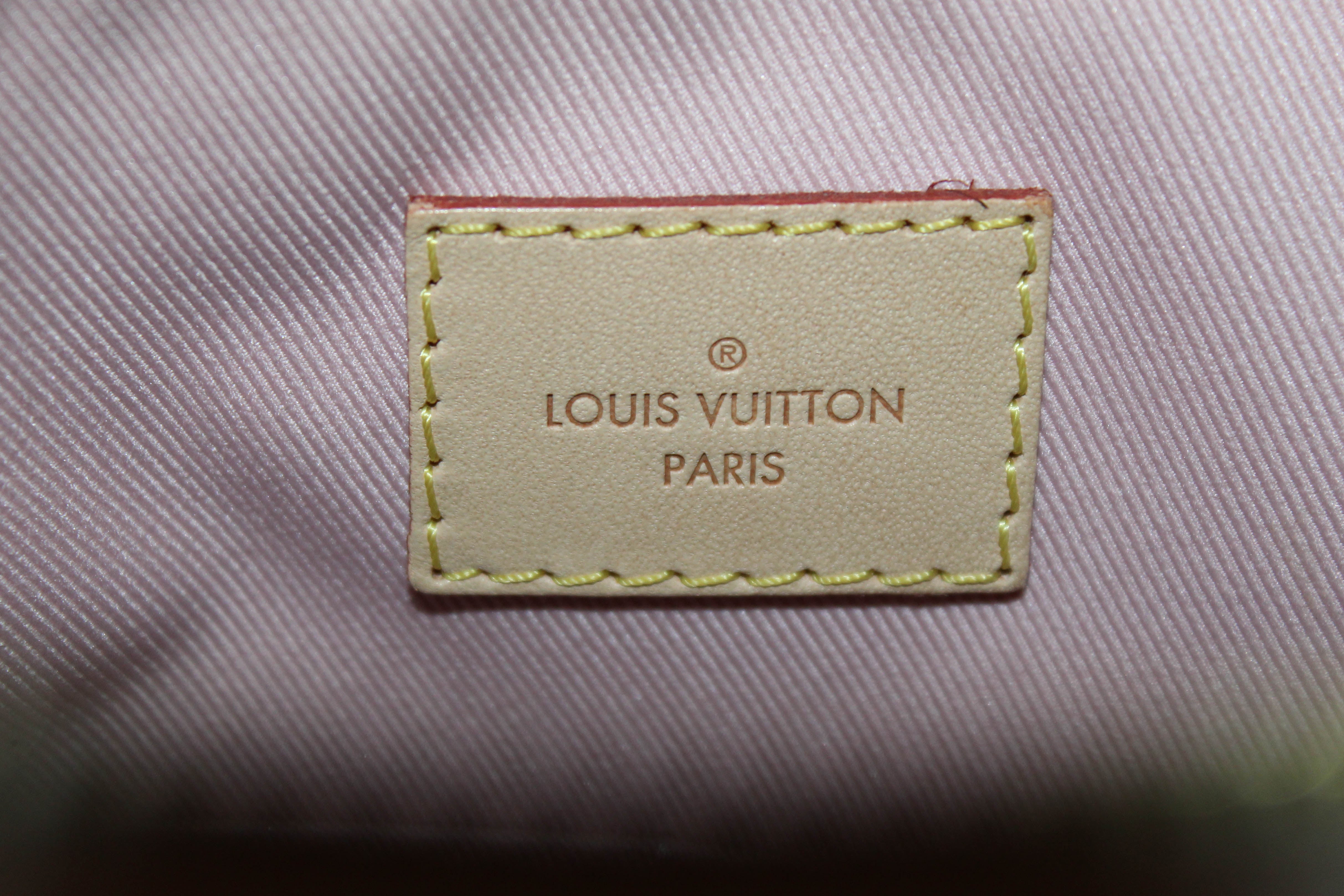 WHAT 2 WEAR of SWFL - Just in… Louis Vuitton Lymington Azur Bag