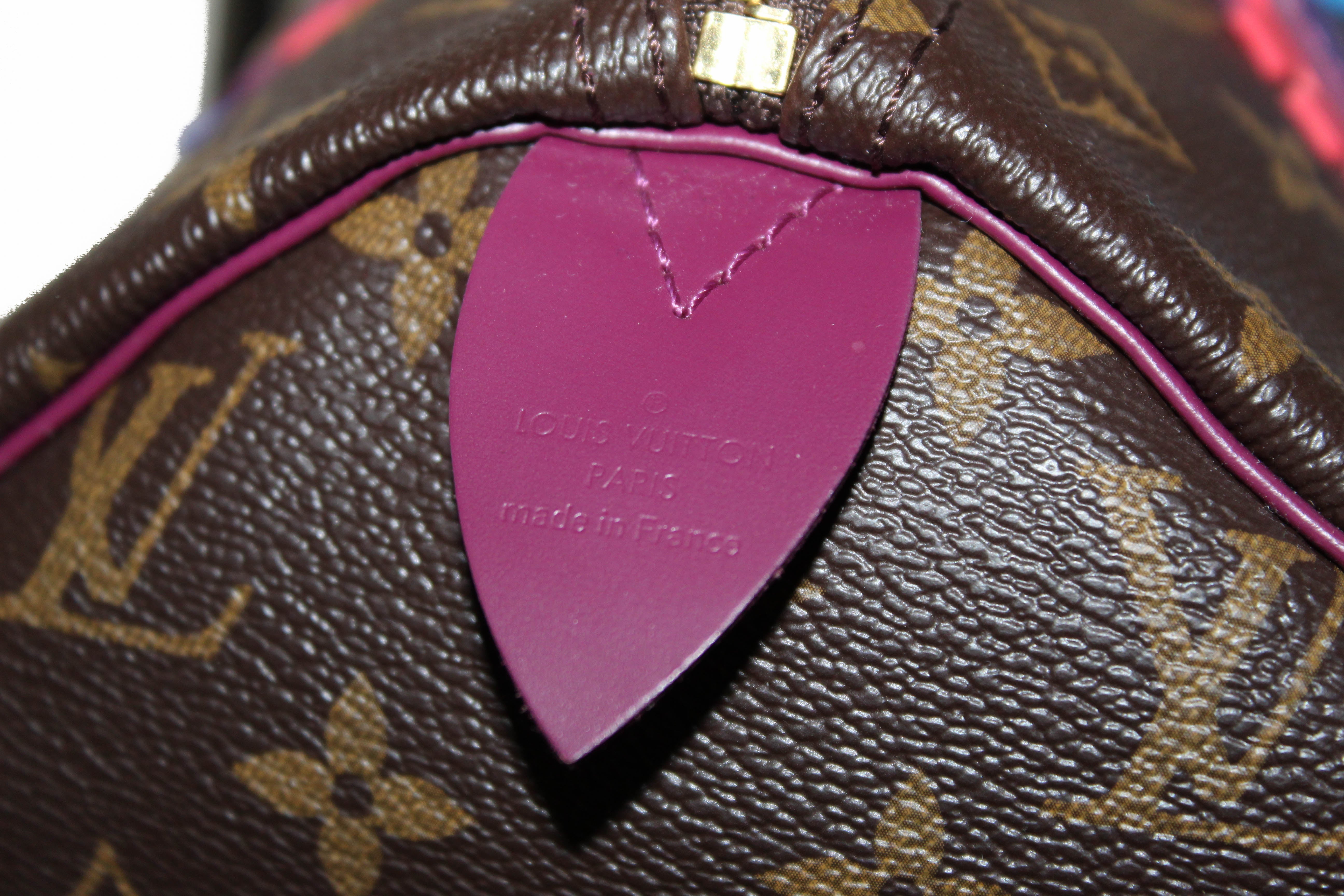 LOUIS VUITTON Speedy 30 limited edition bag in brown totem