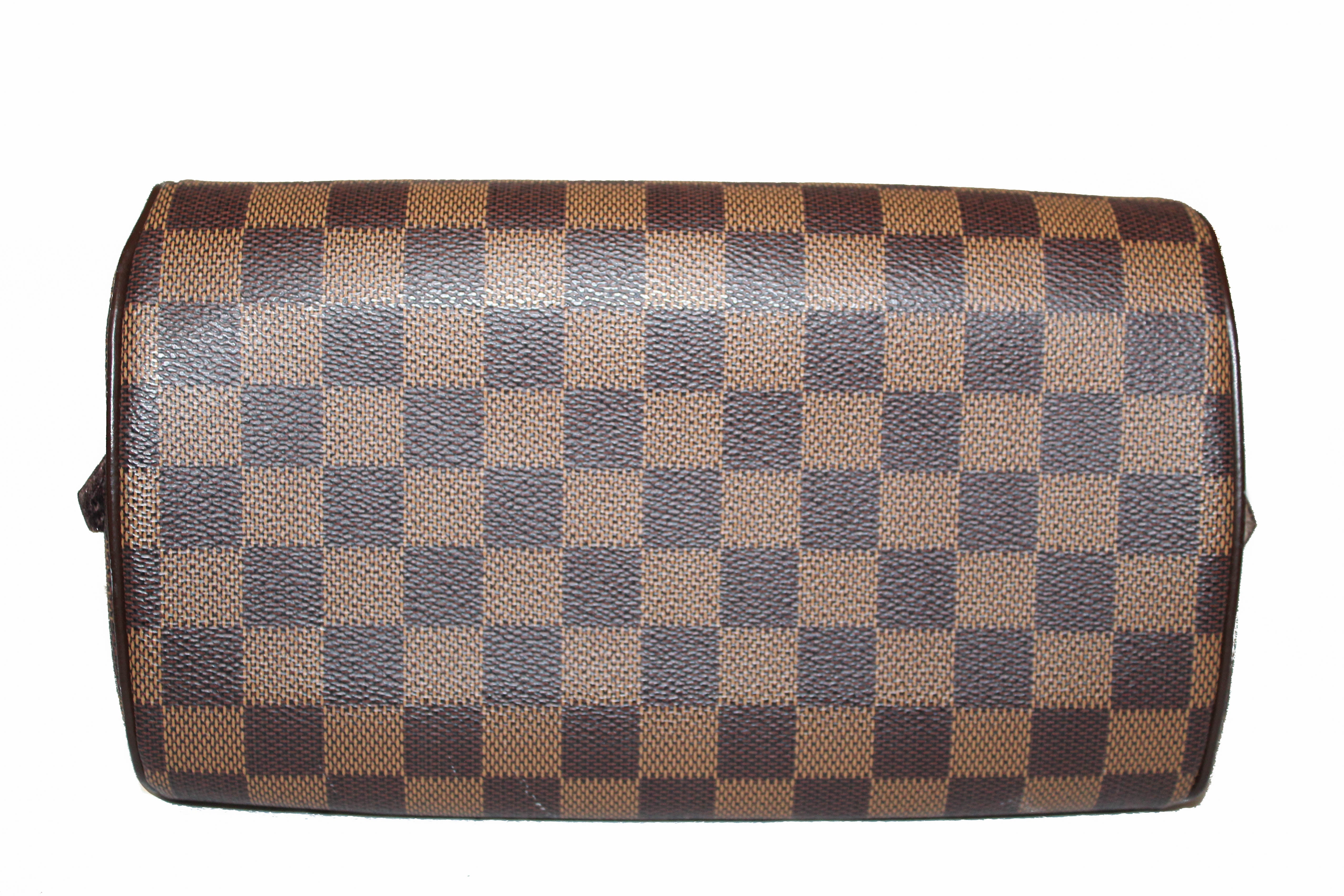 Authentic Louis Vuitton Damier Ebene Mini Ribera Hand Bag