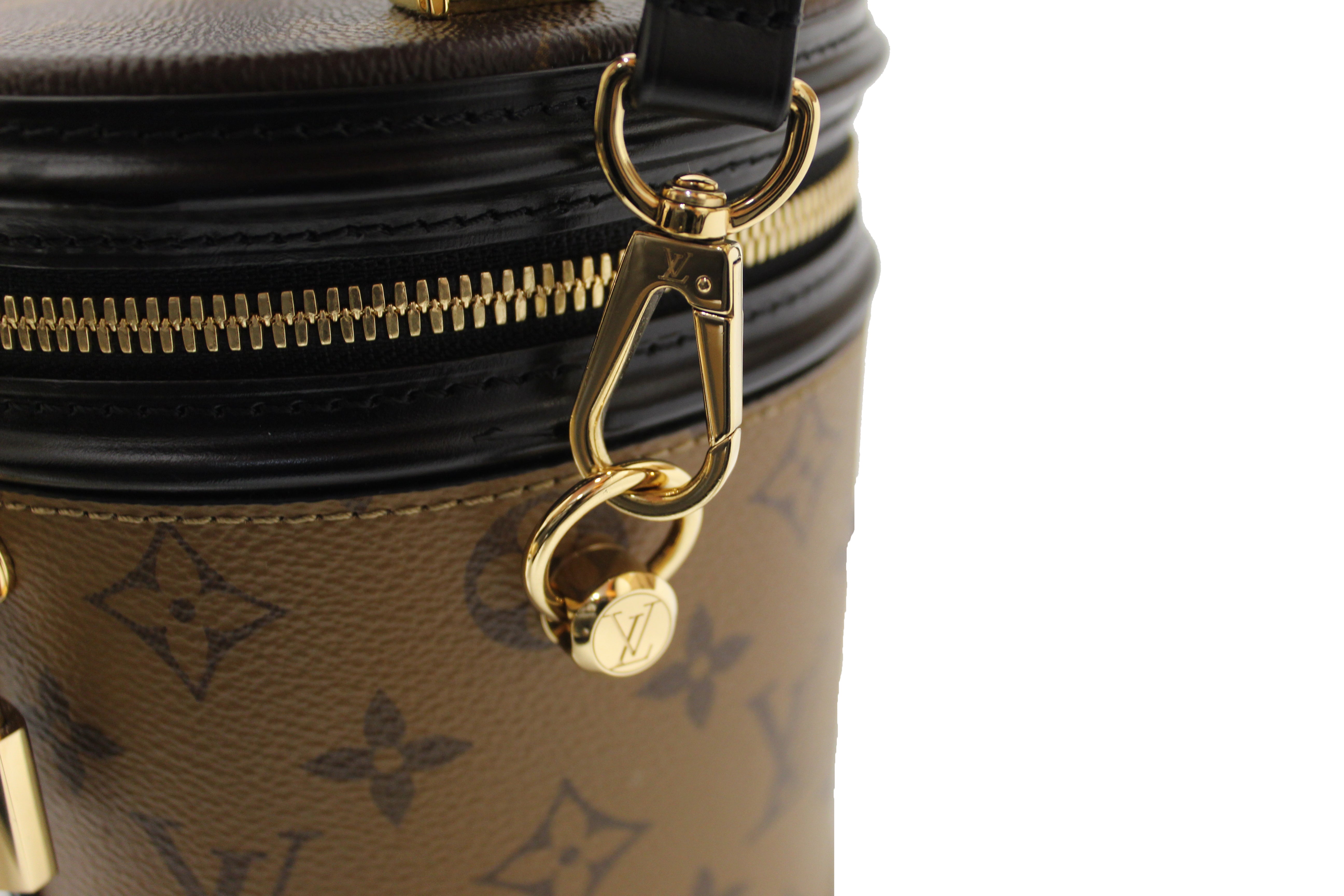 Louis Vuitton Cannes Vanity Bag(Brown)
