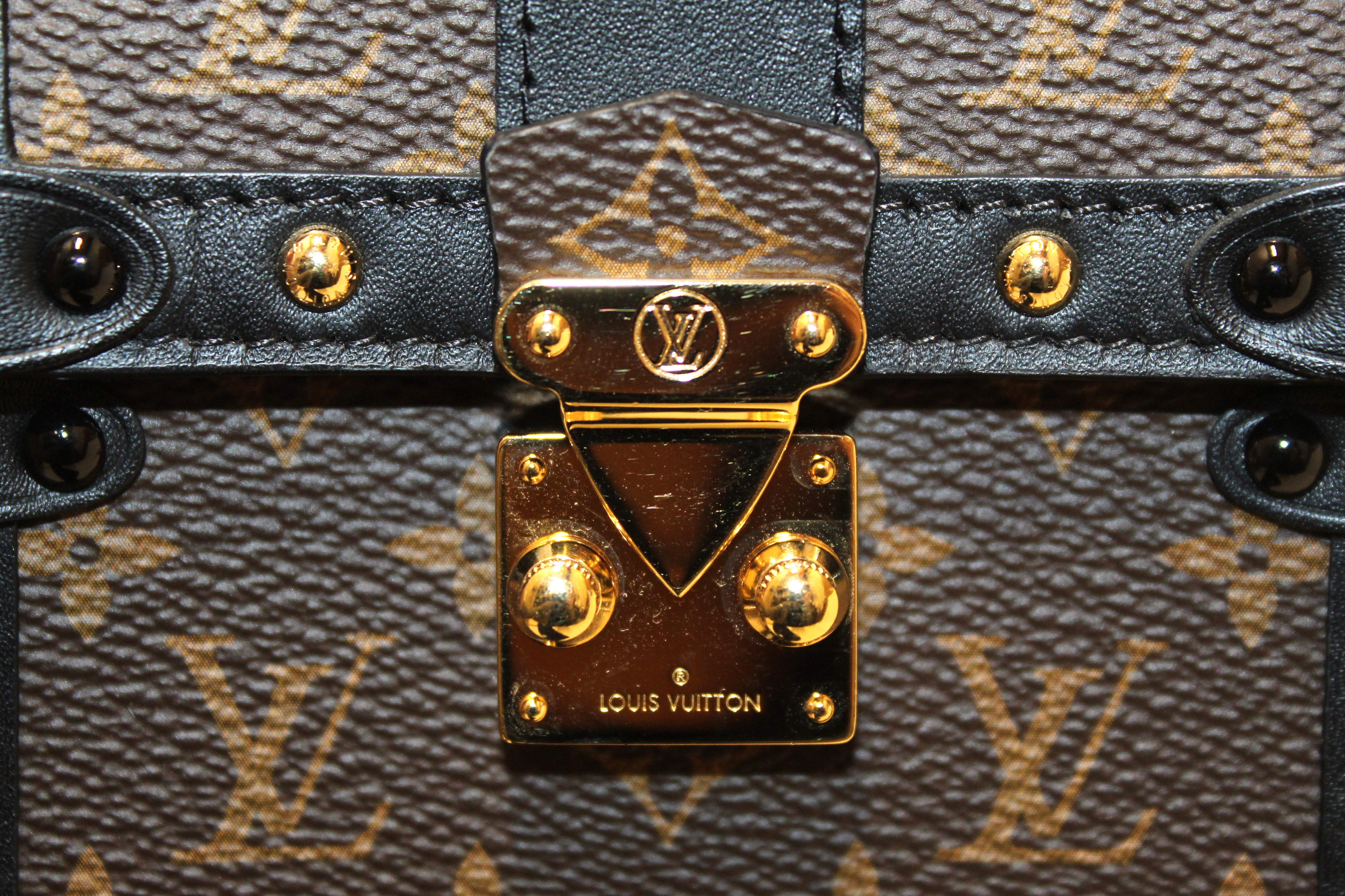 Louis Vuitton Vertical Trunk Pochette Bag – ZAK BAGS ©️