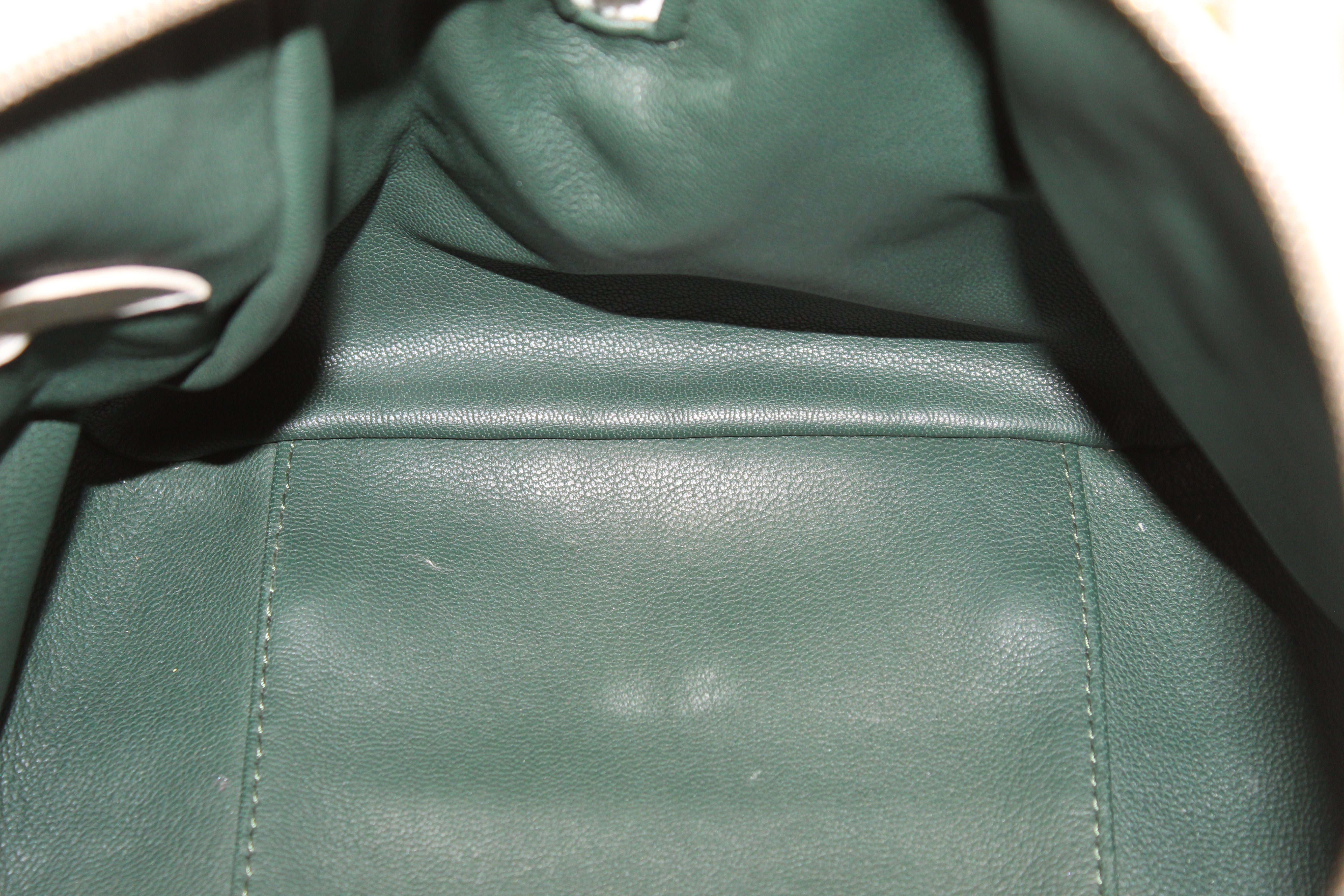 Authentic 2012 Limited Edition Louis Vuitton Green Monogram Sorbet Speedy  Handbag – Italy Station